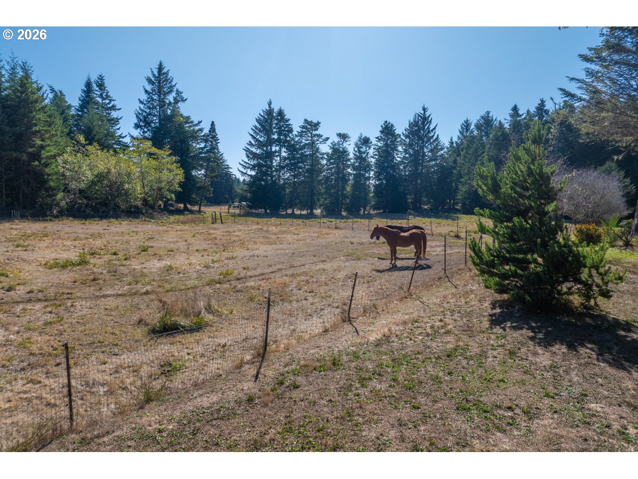 56008 Spring Creek Rd Property Photo 5