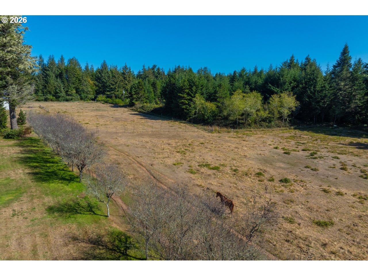 56008 Spring Creek Rd Property Photo 19