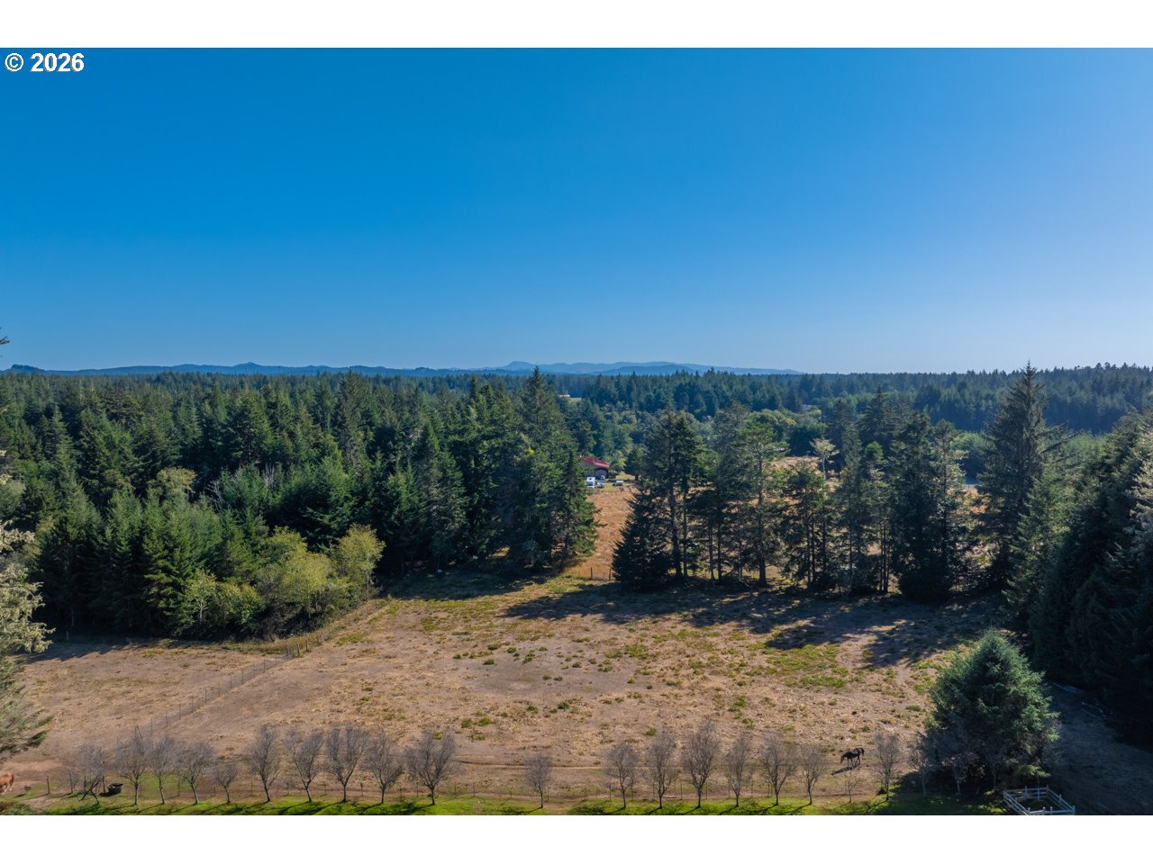 56008 Spring Creek Rd Property Photo 20
