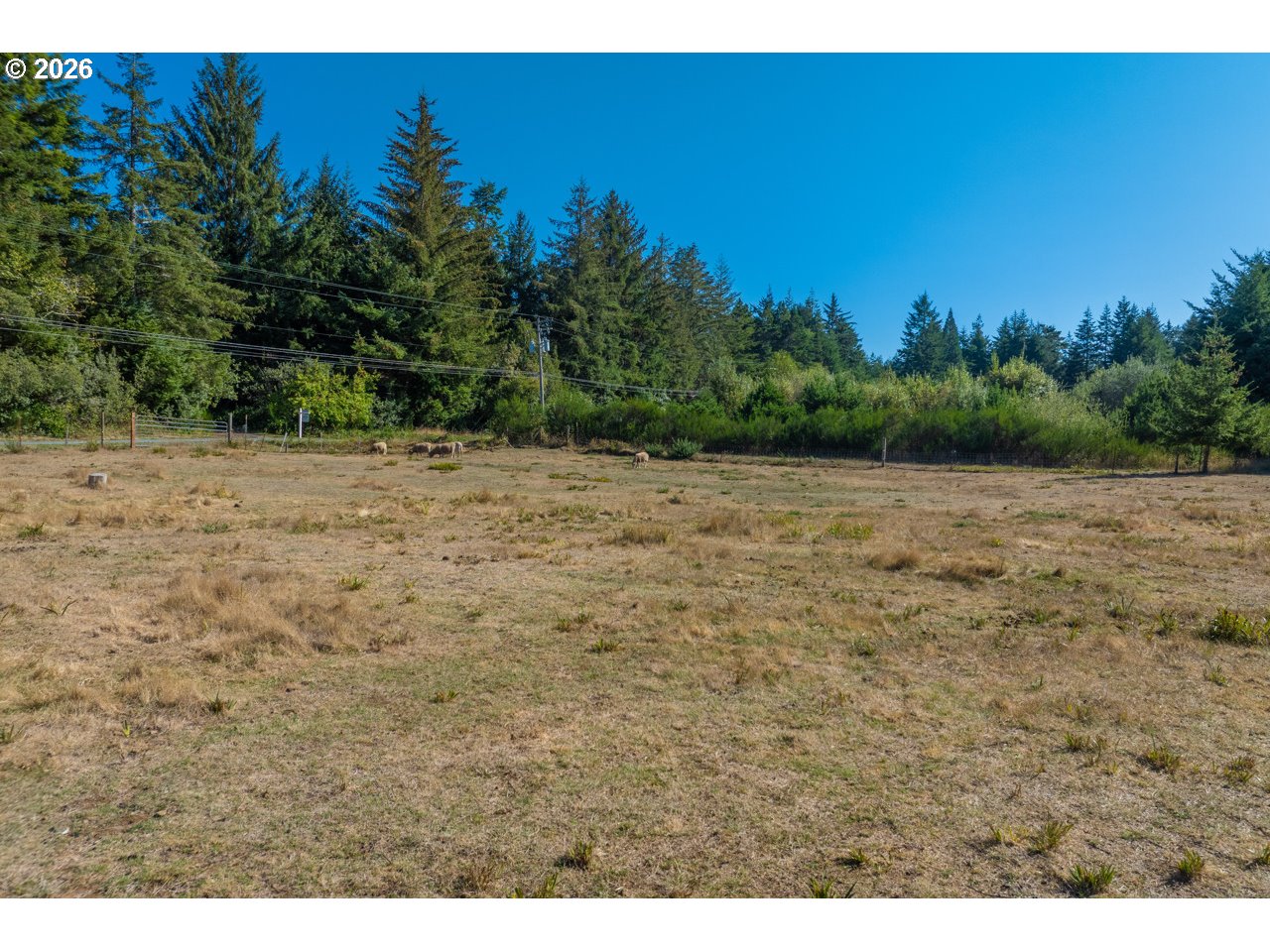 56008 Spring Creek Rd Property Photo 21
