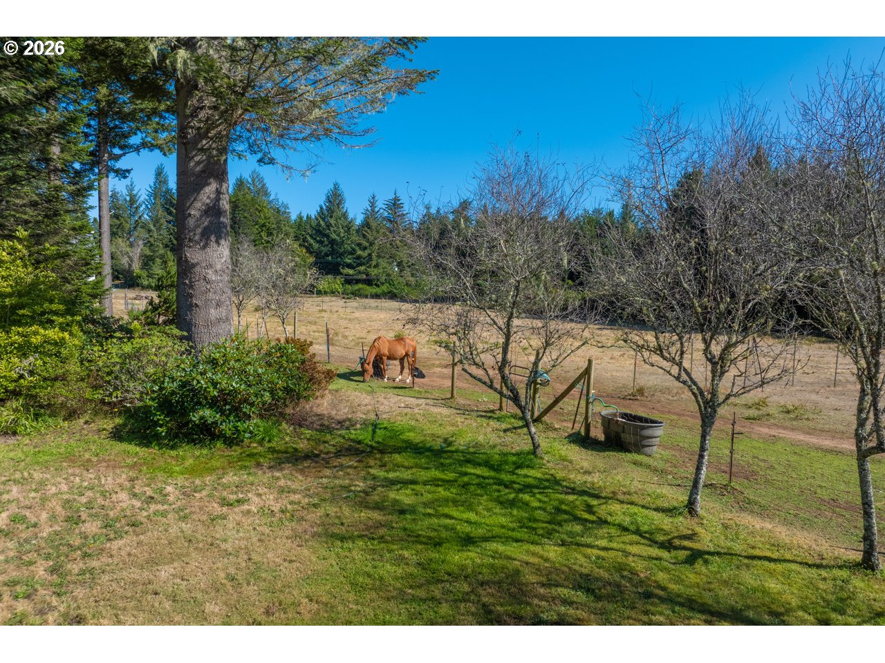 56008 Spring Creek Rd Property Photo 22