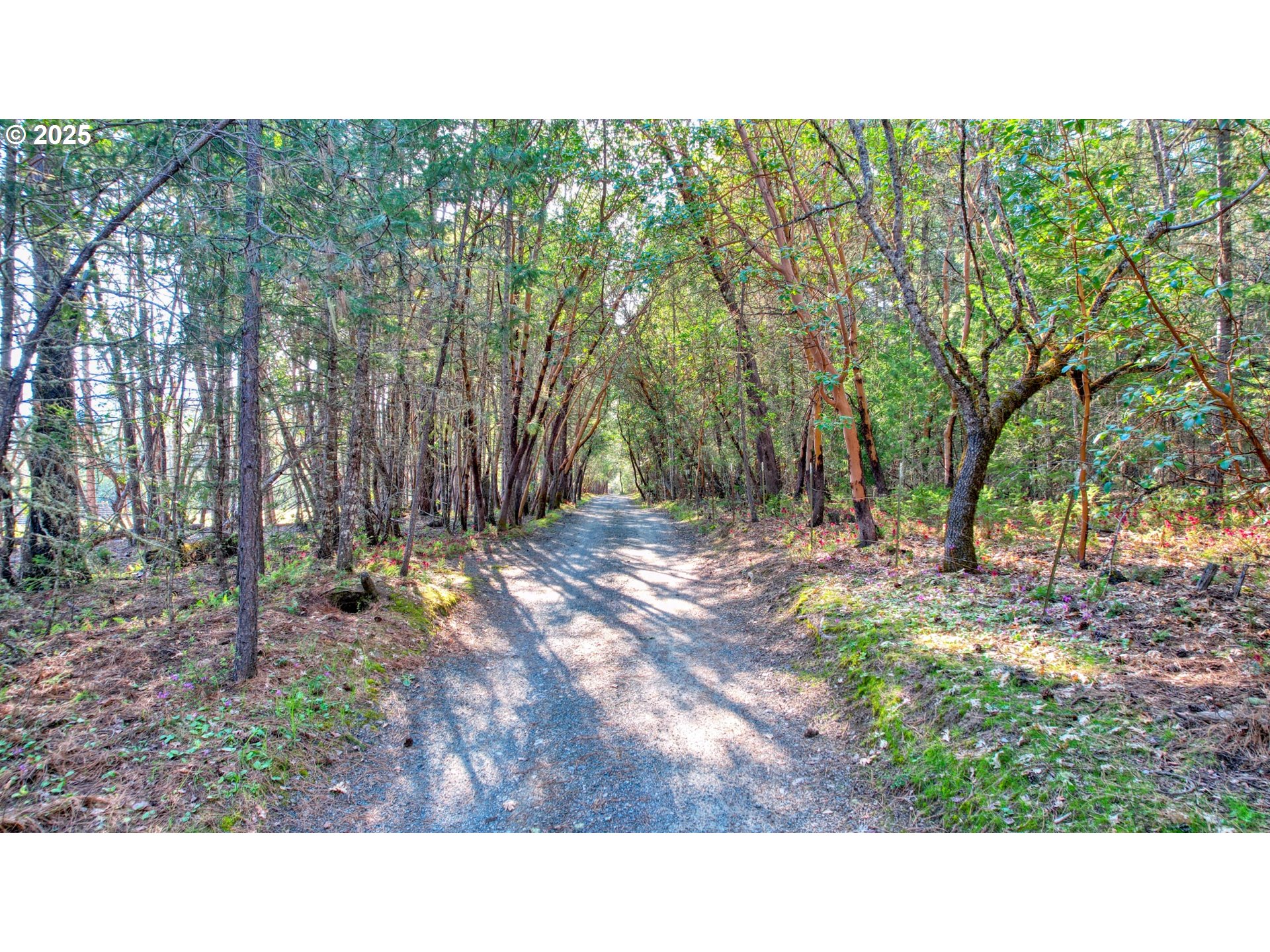 858 Missouri Flat Rd Property Photo 4