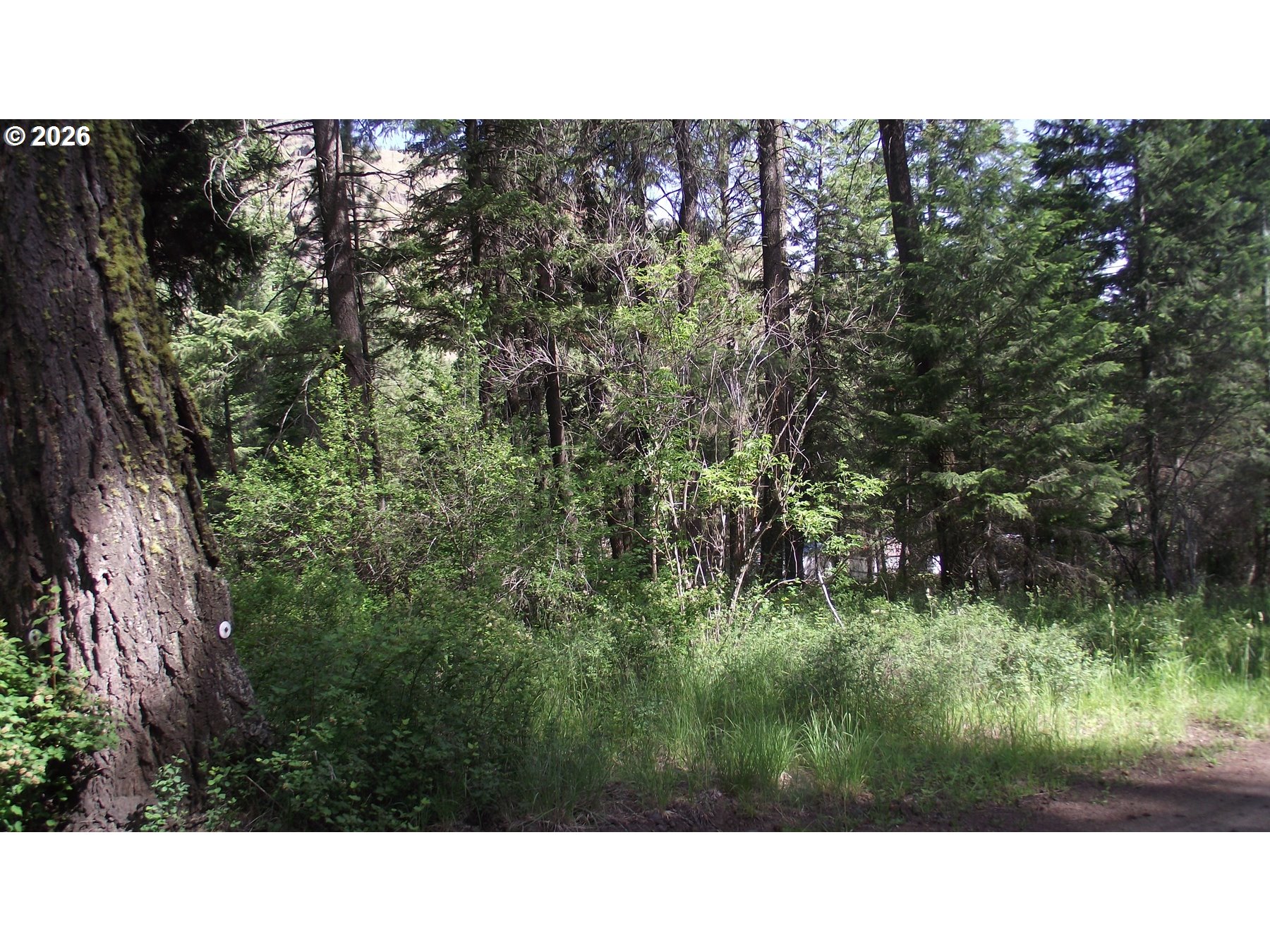 River Canyon Rd Property Photo 5