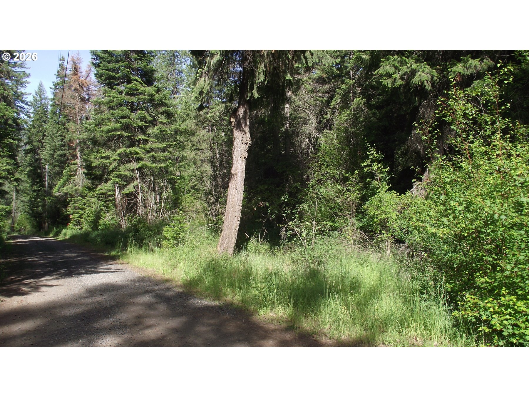 River Canyon Rd Property Photo 7