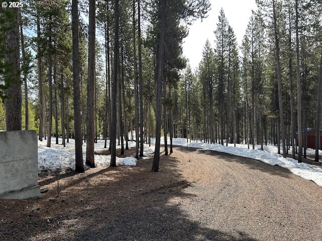 139957 Pine Creek Loop Property Photo 28