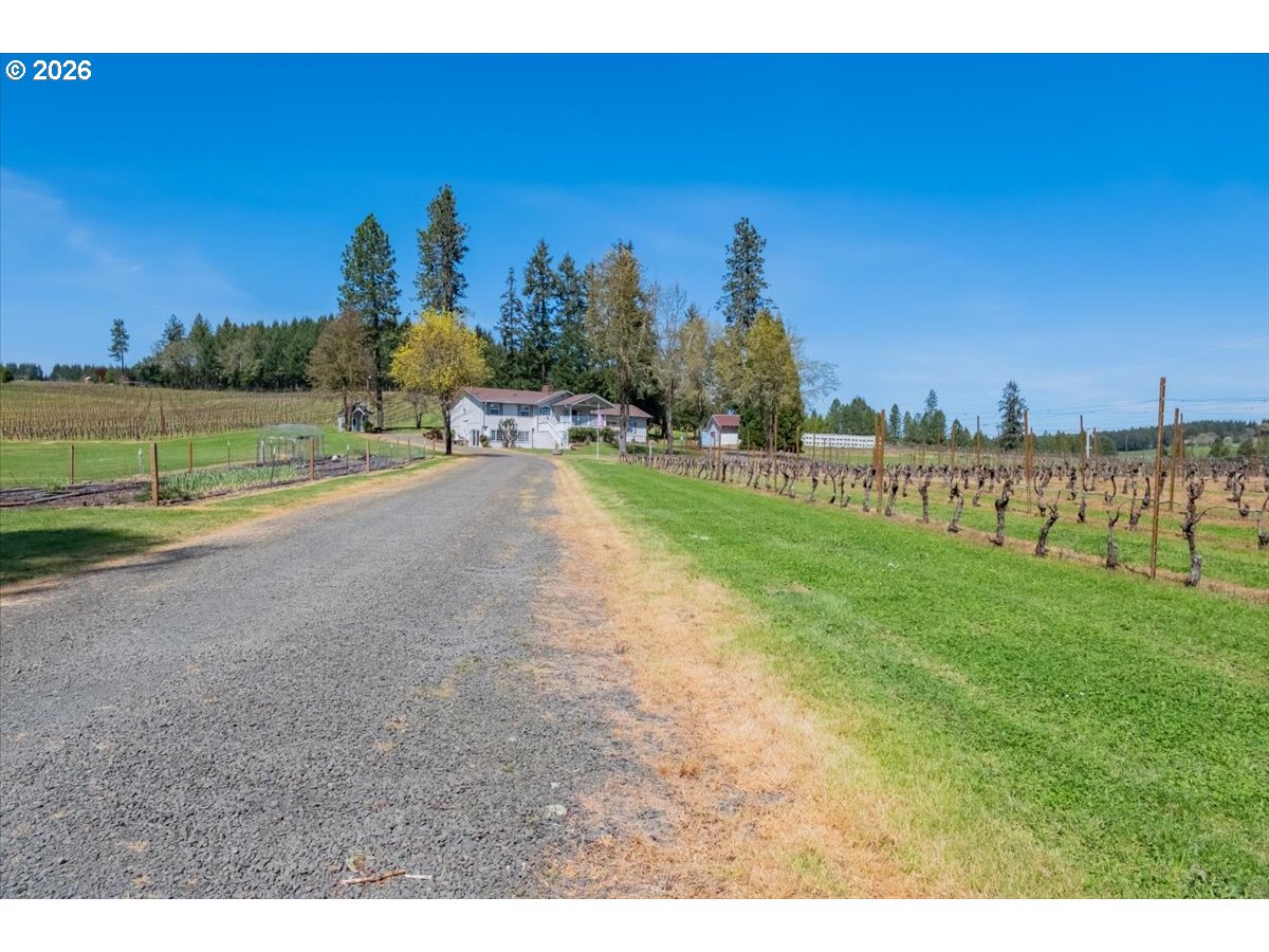 25357 High Pass Rd Property Photo 3