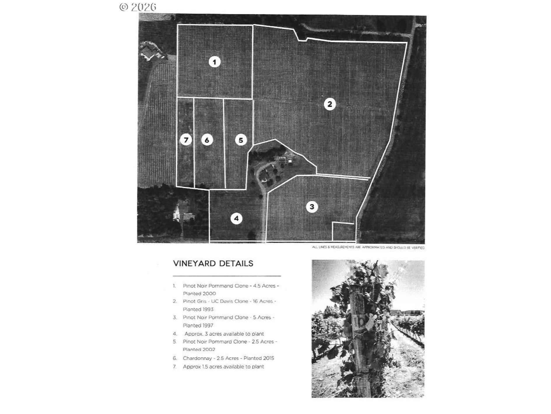 25357 High Pass Rd Property Photo 43