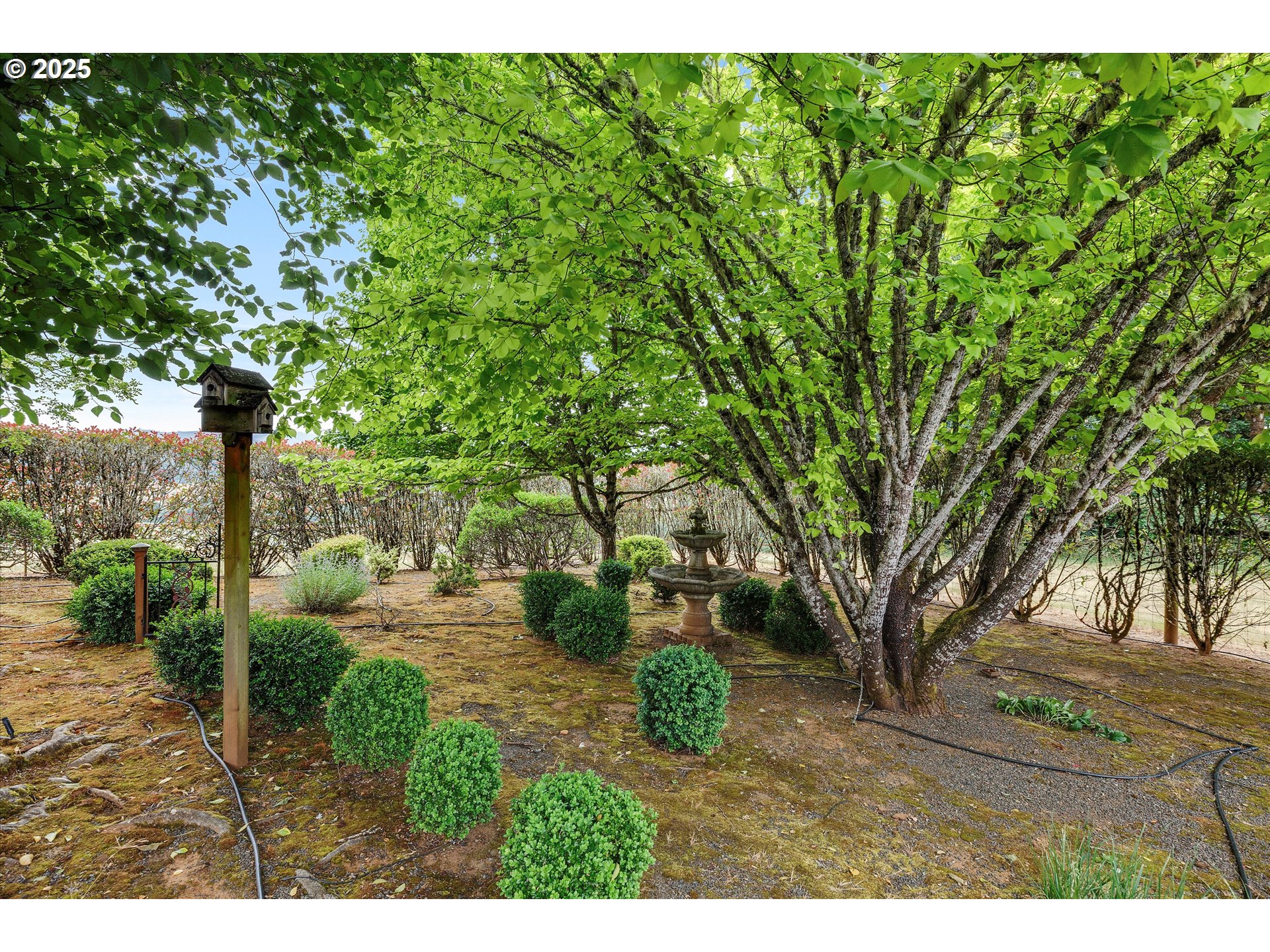 7350 Smith Rd Property Photo 36