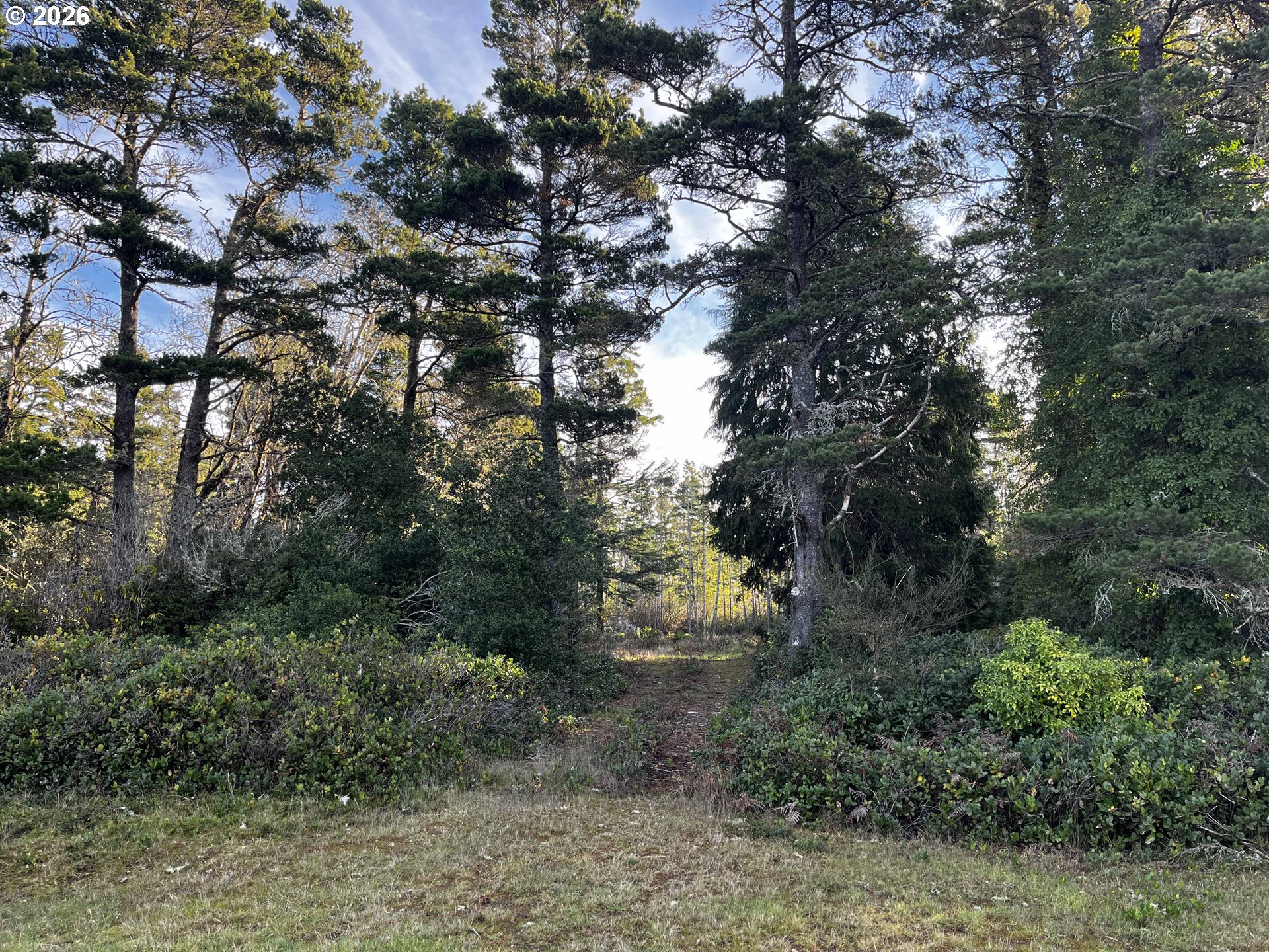 Hwy 101 800 Property Photo 2