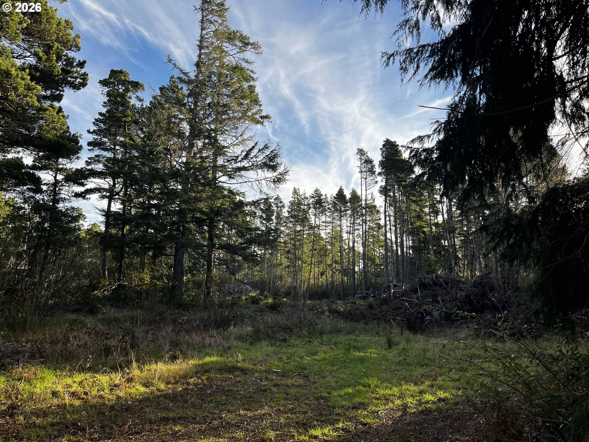 Hwy 101 800 Property Photo 3
