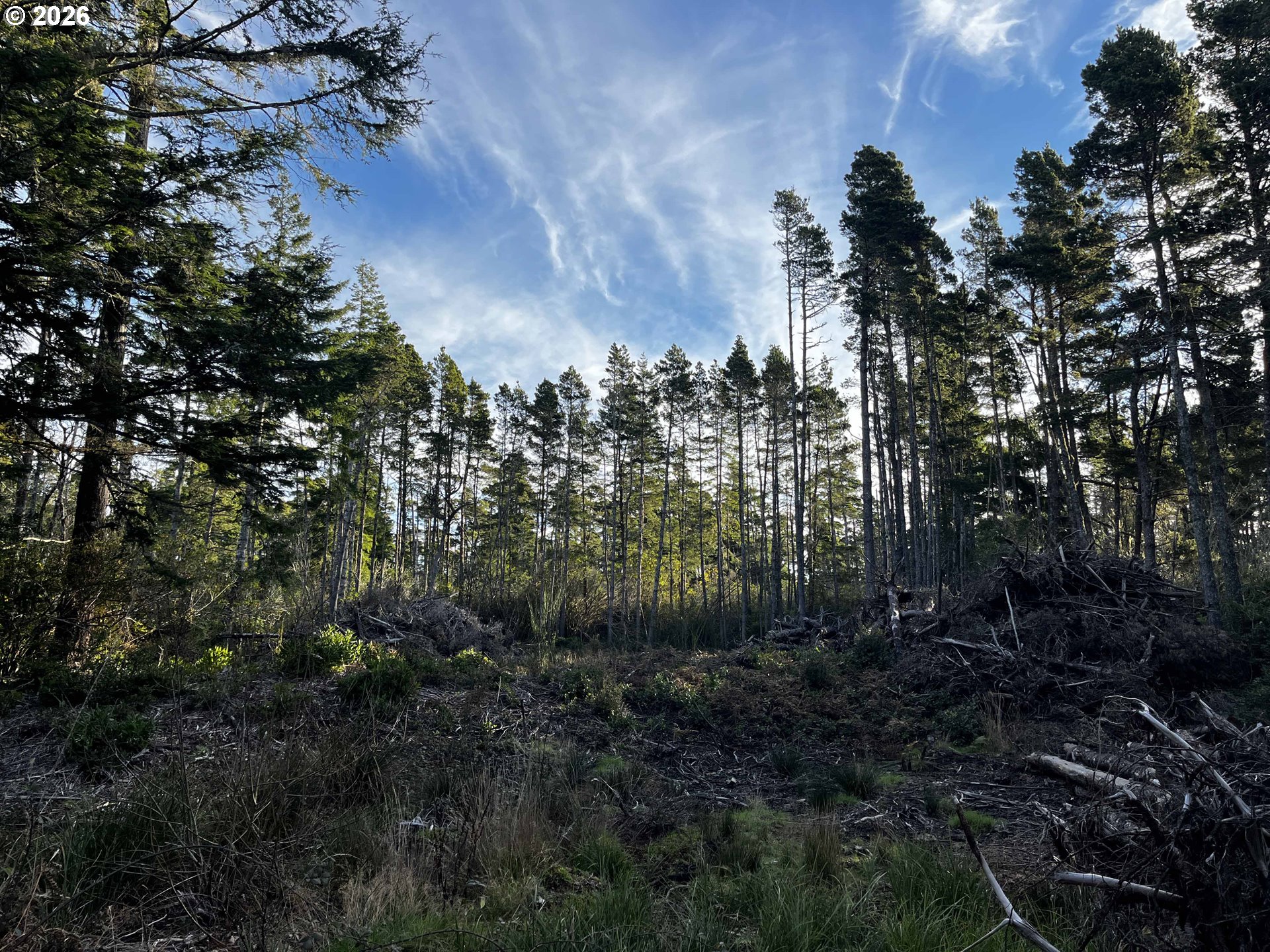 Hwy 101 800 Property Photo 4