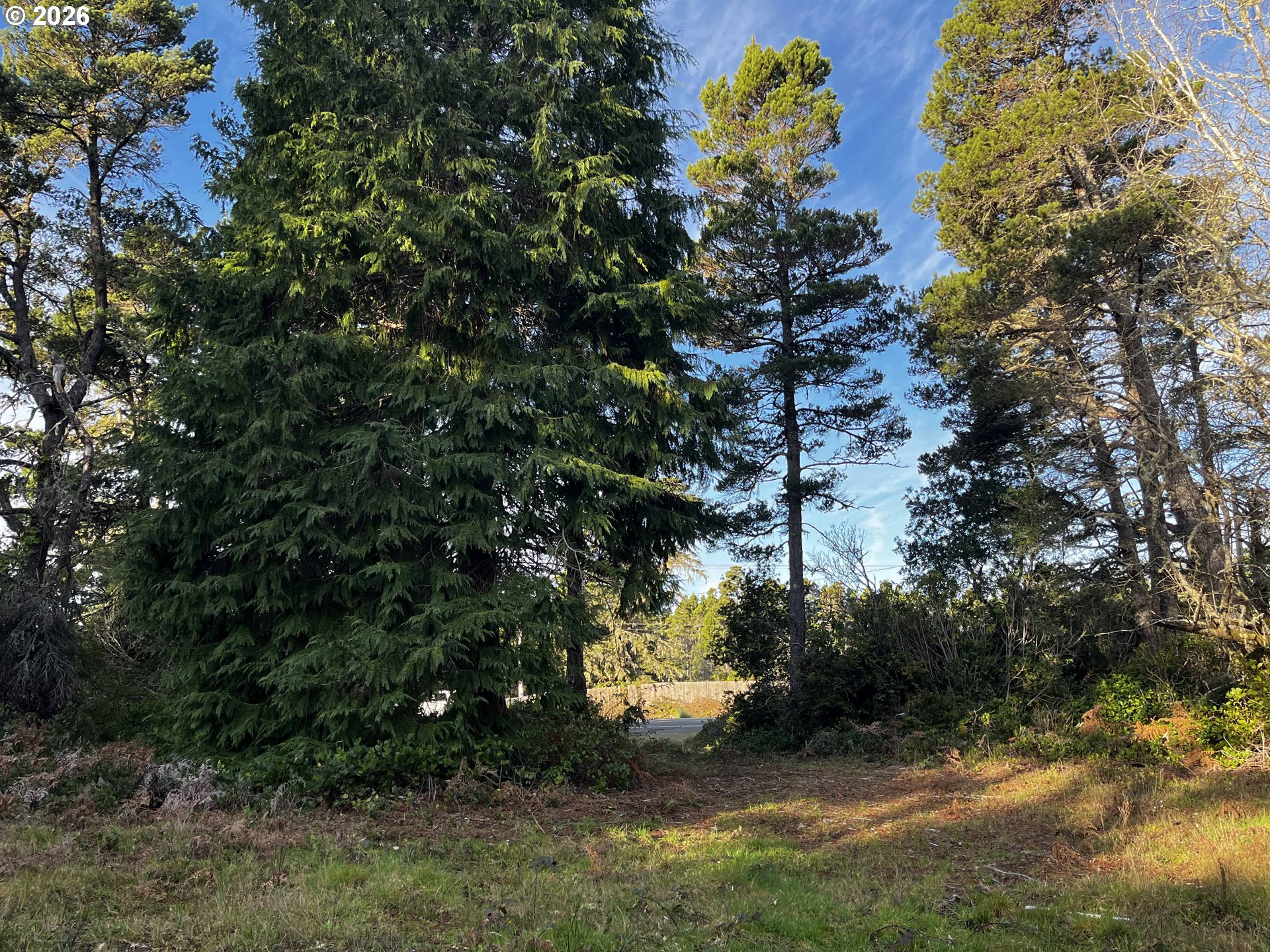 Hwy 101 800 Property Photo 5