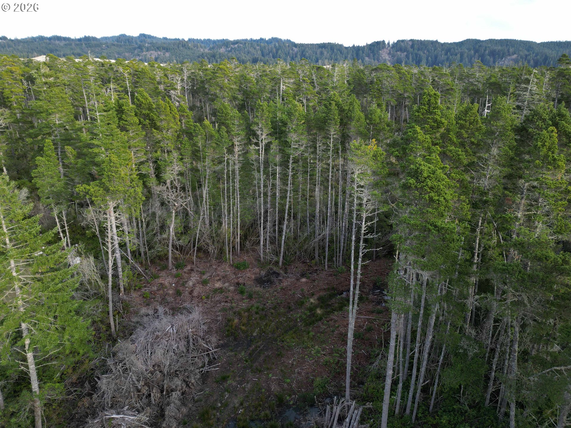 Hwy 101 800 Property Photo 11
