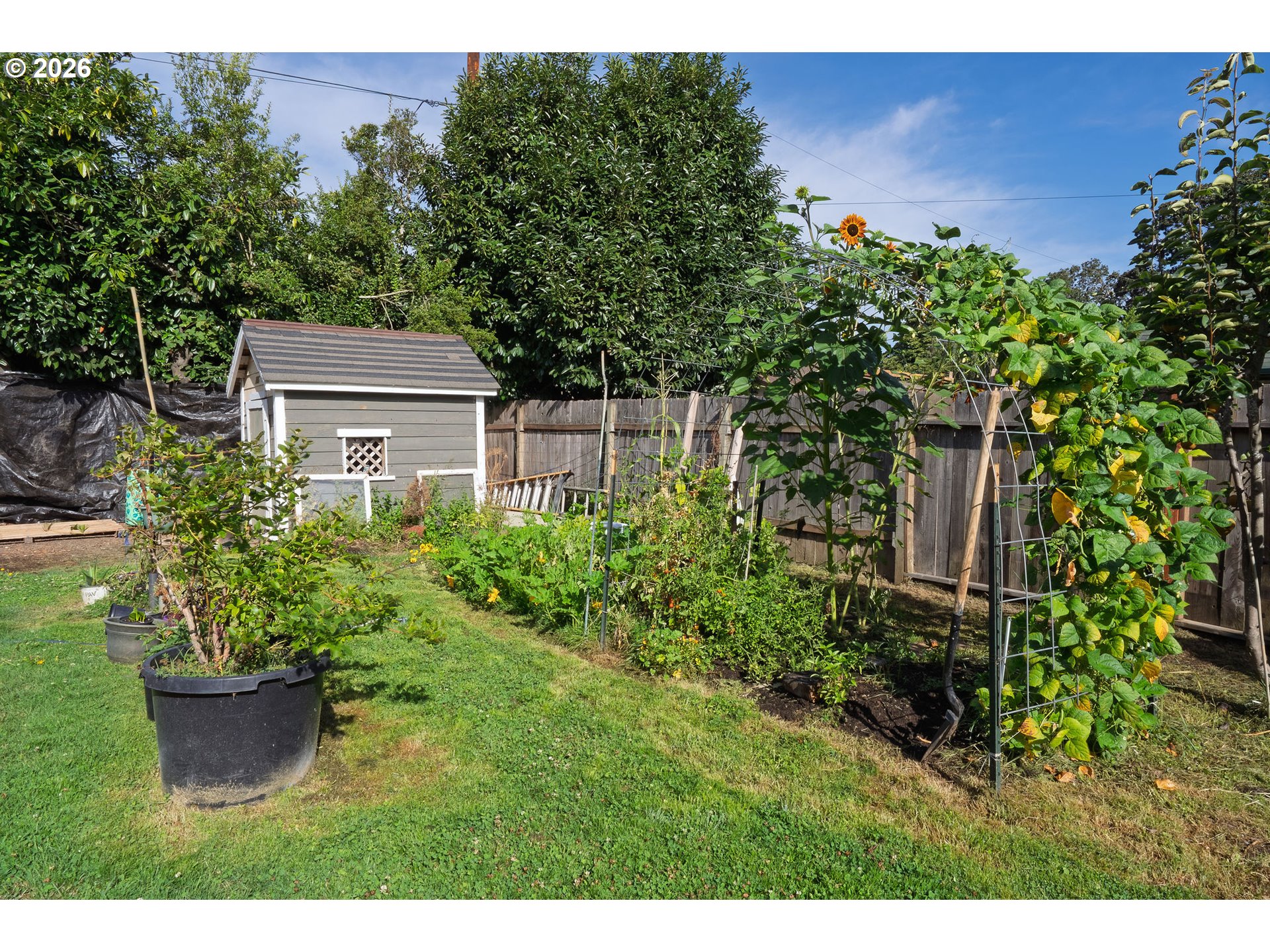 1825 4th St Property Photo 31