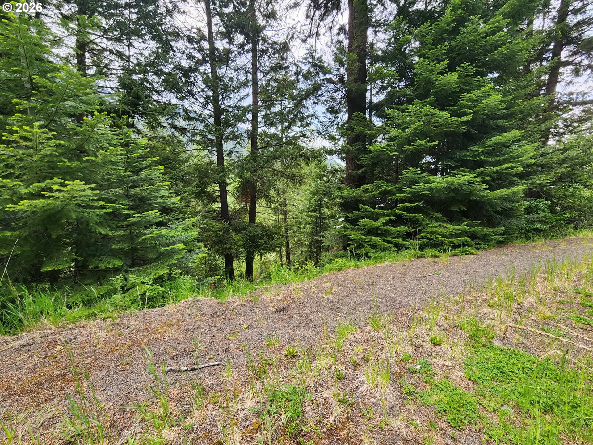0 Forest Dell Rd Property Photo 7