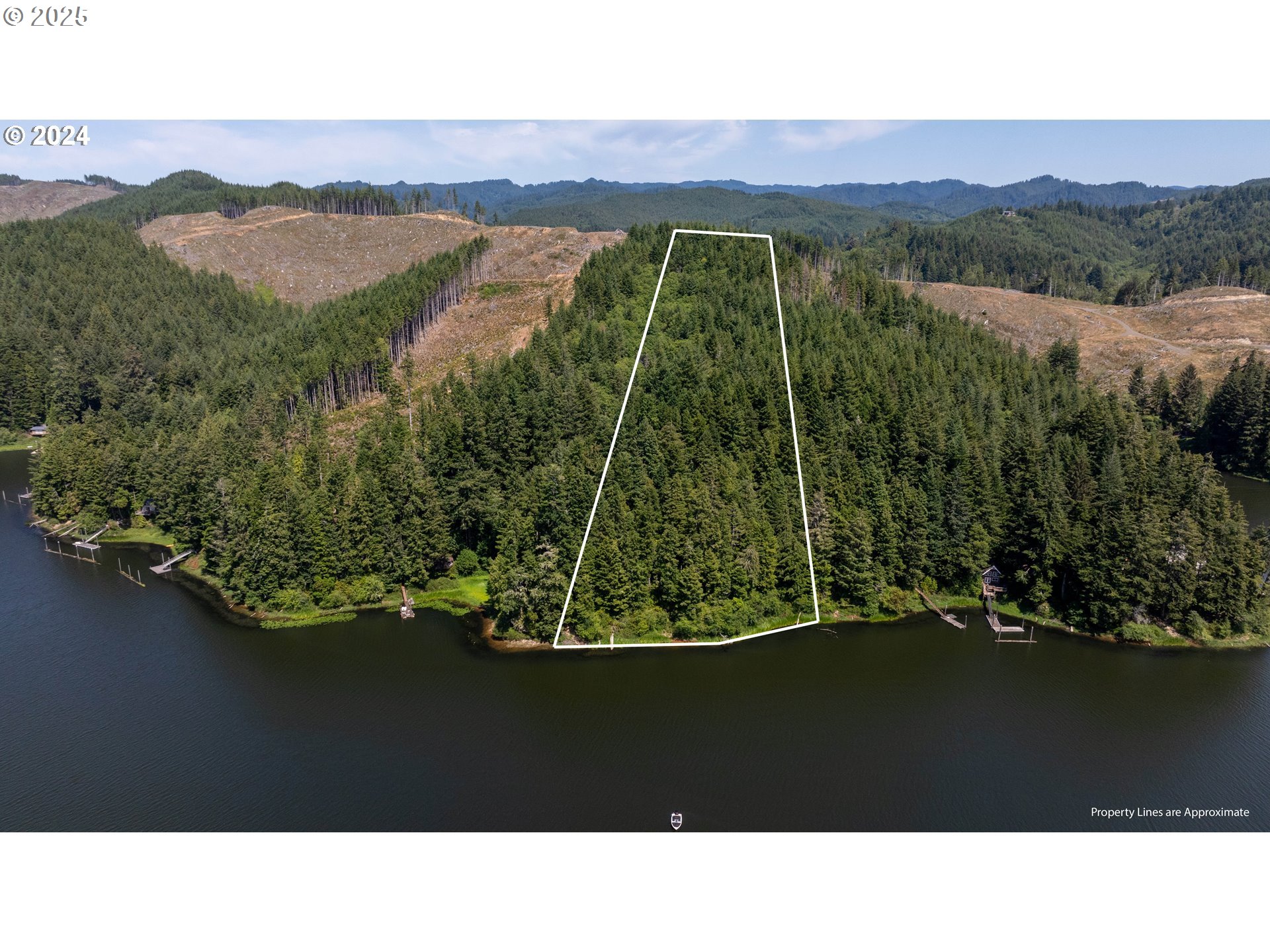 0 Tenmile Lake Property Photo 1