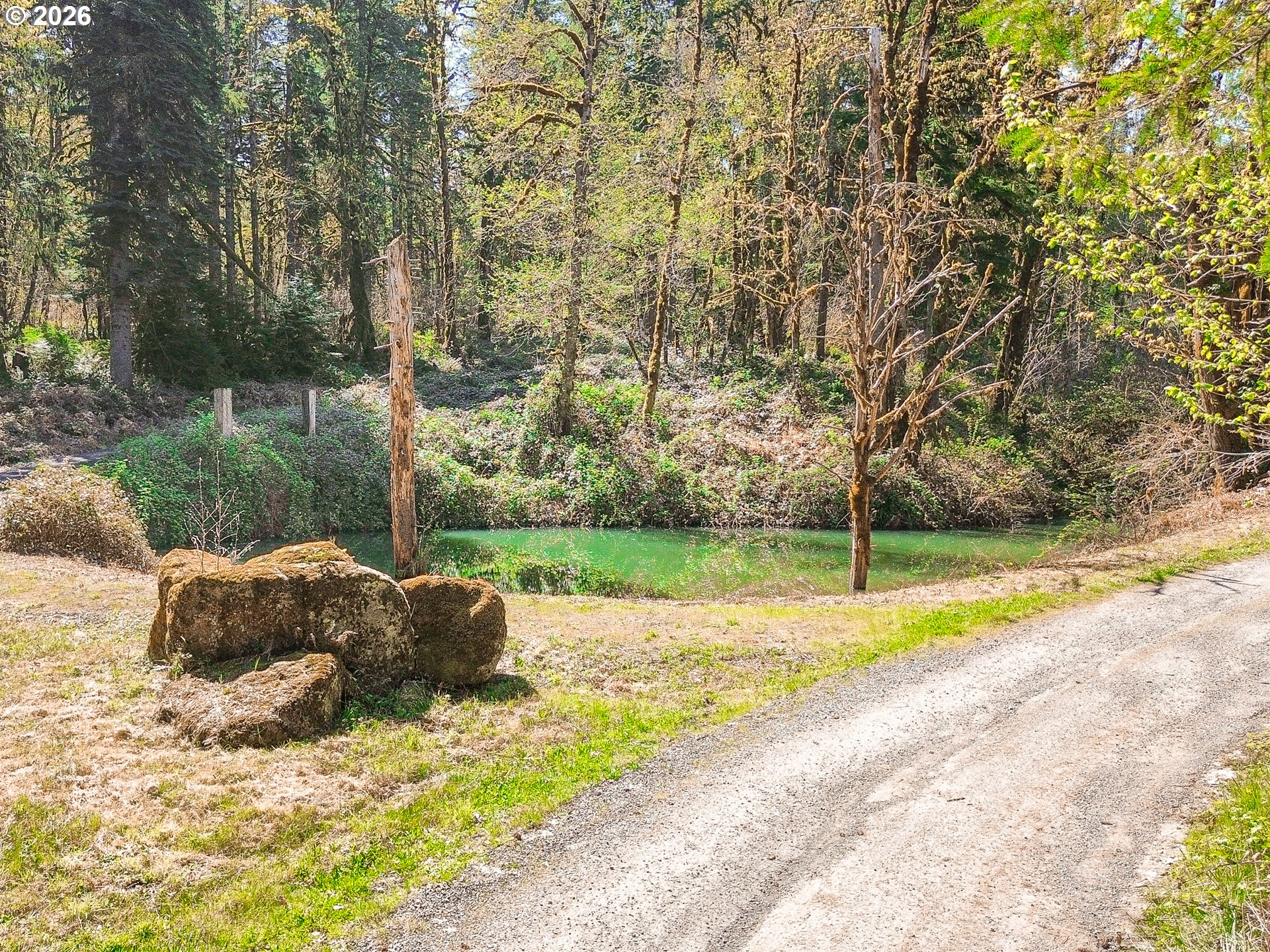 44130 Santiam Hwy Property Photo 48