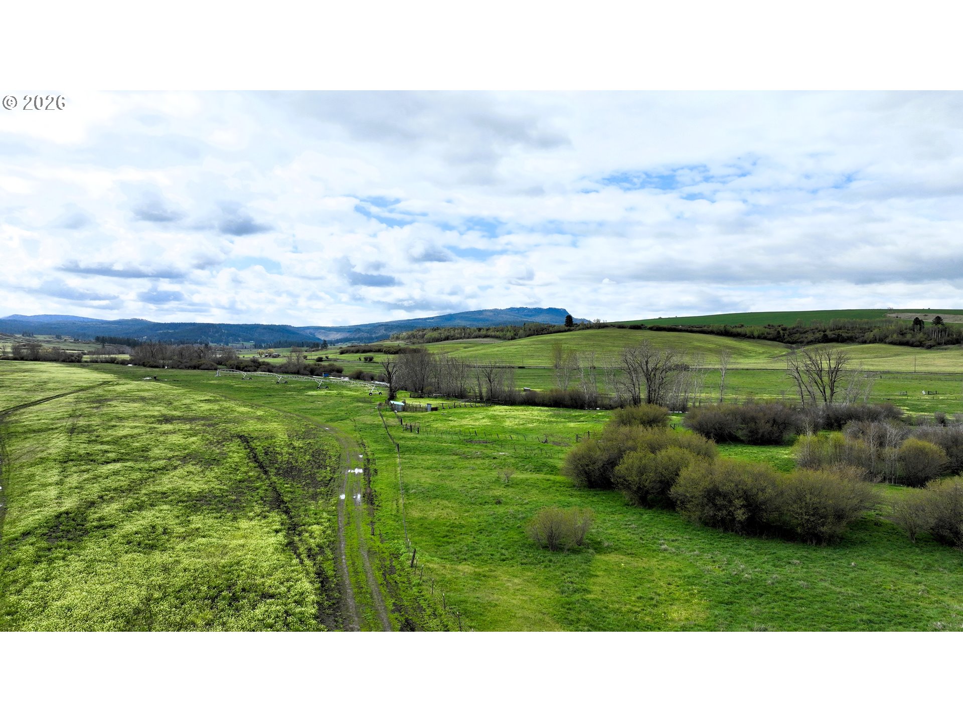 68881 Indian Creek Rd Property Photo 5