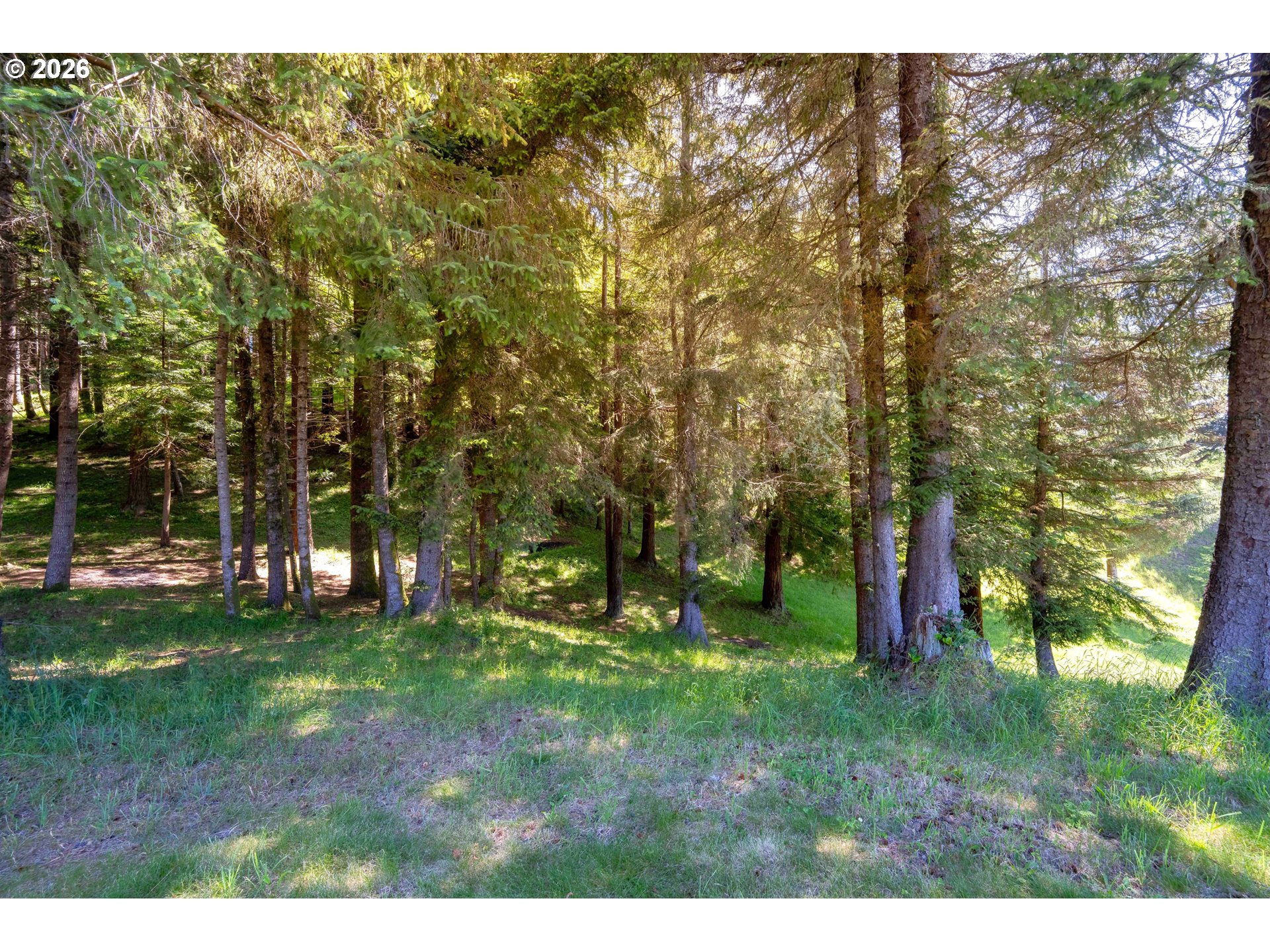 20934 Bridgeview Dr Property Photo 11