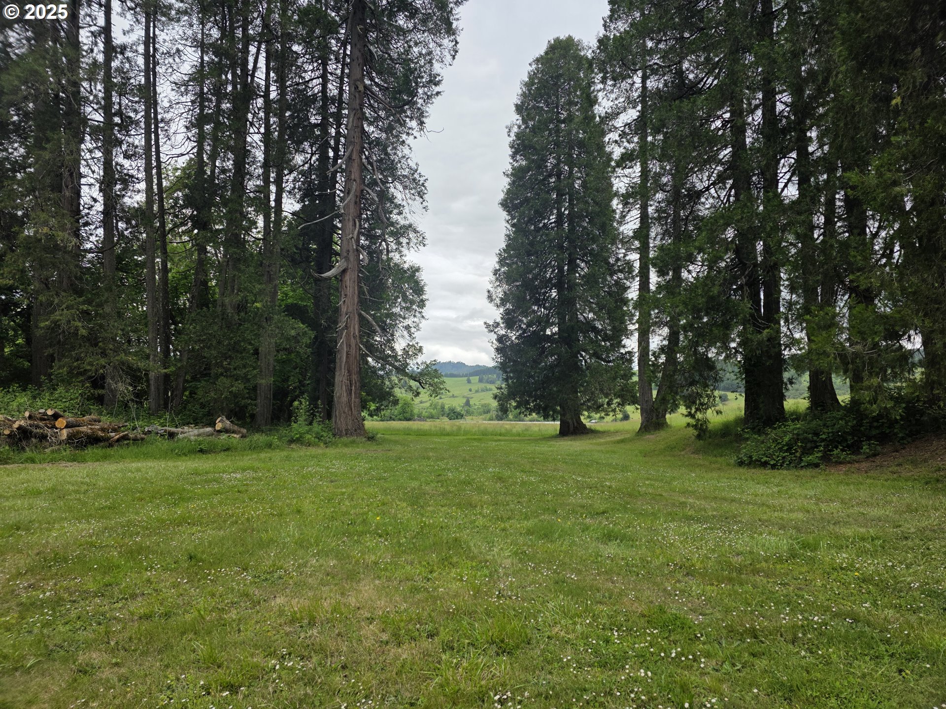 4340 State Highway 38 Property Photo 19