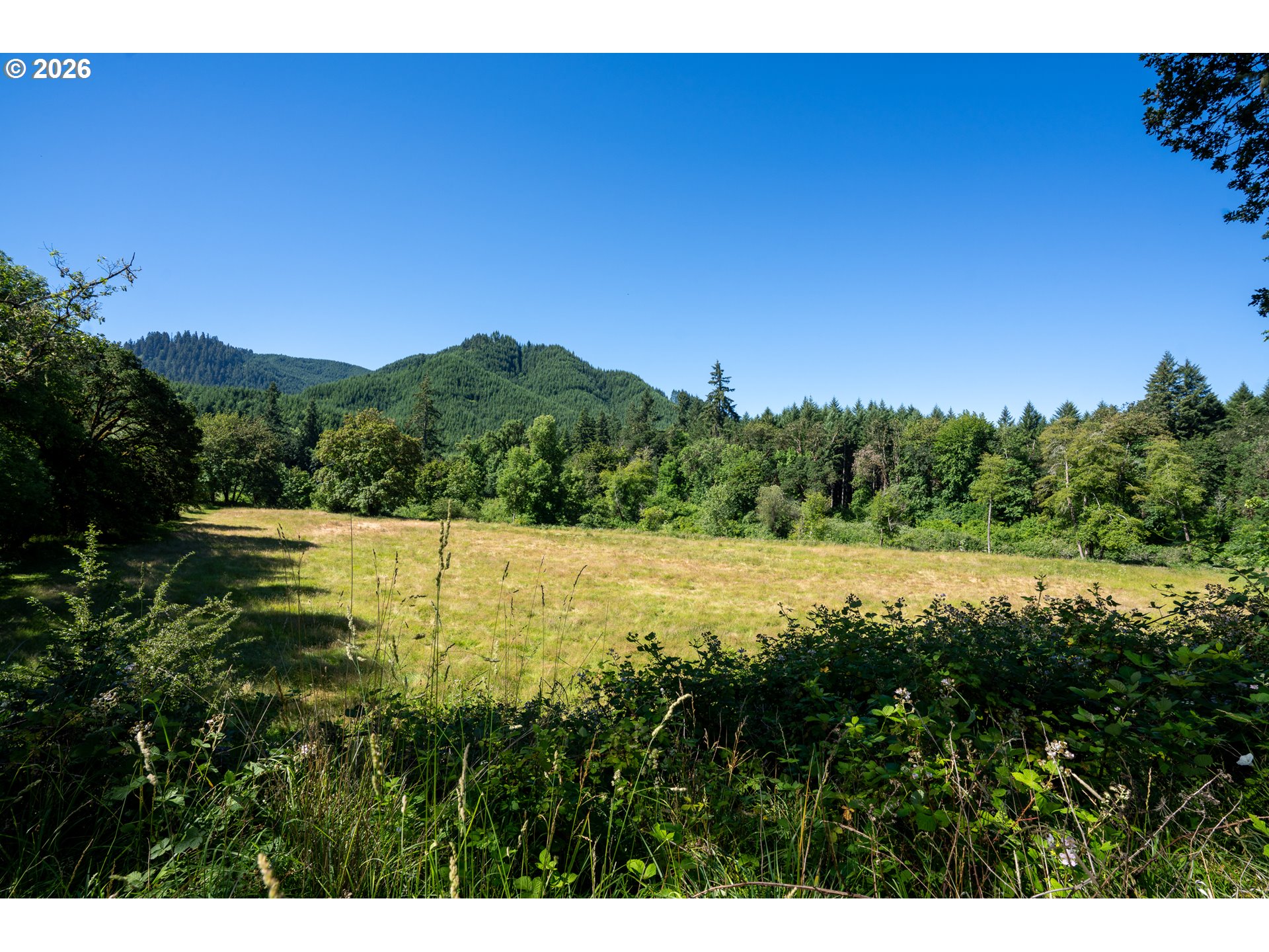 4340 State Highway 38 Property Photo 30
