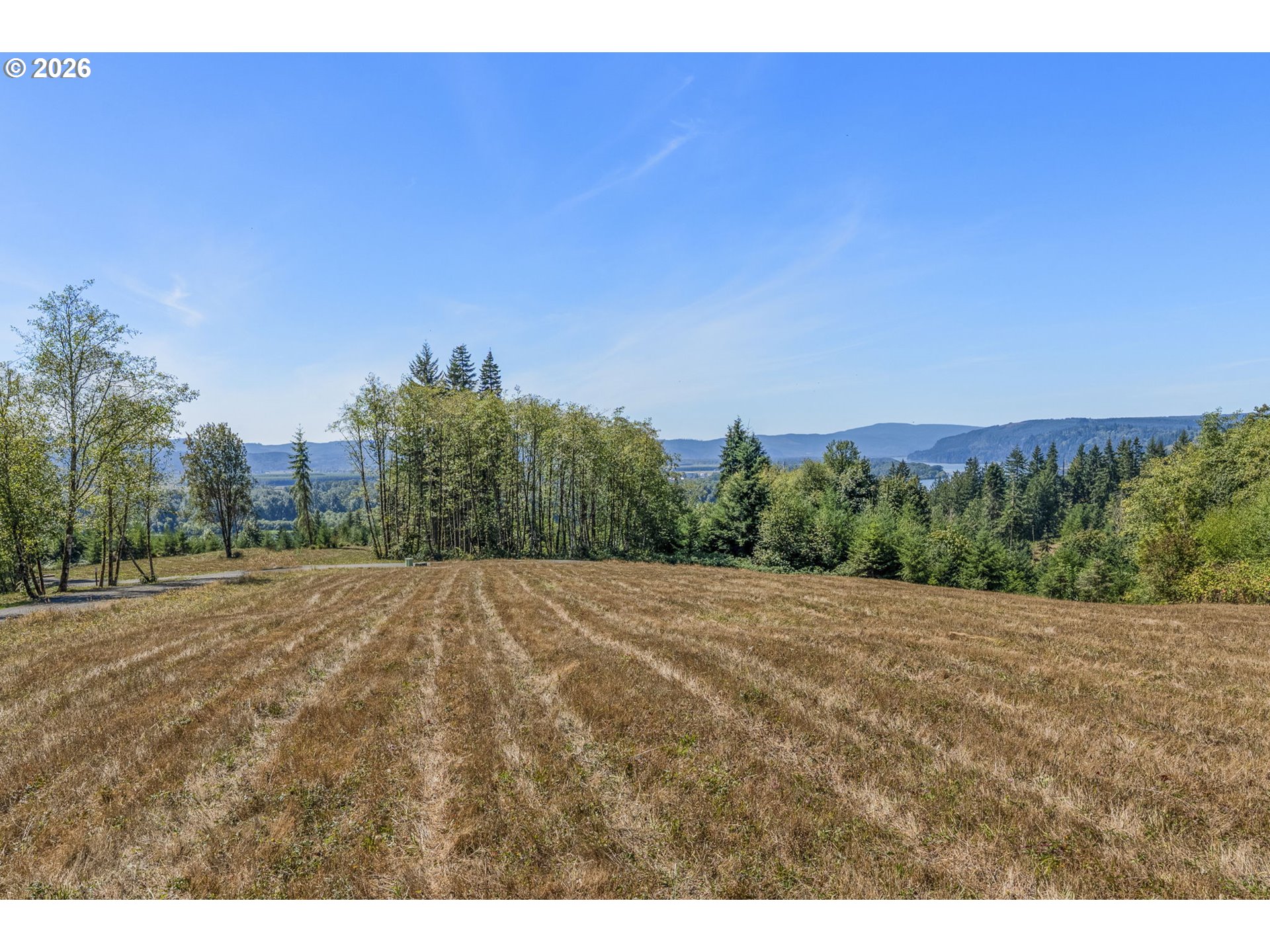 0 Old Tree Farm Dr B Property Photo 8