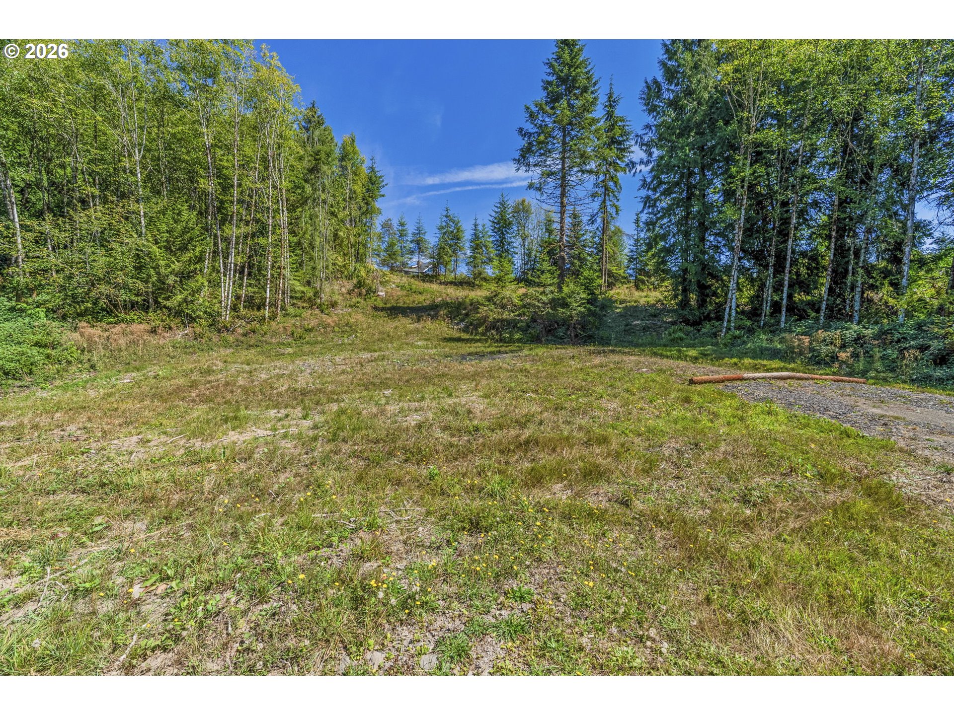 0 Old Tree Farm Dr B Property Photo 11