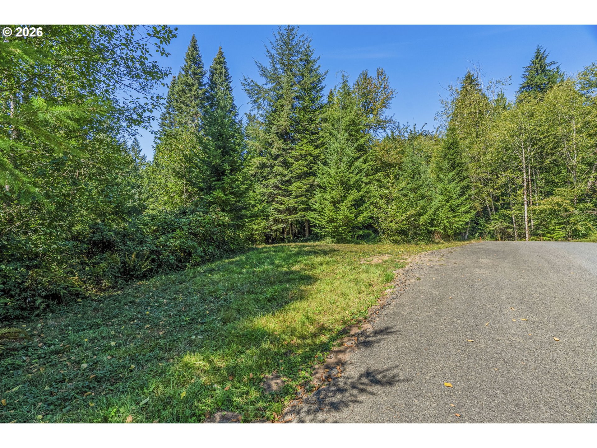 0 Old Tree Farm Dr B Property Photo 12