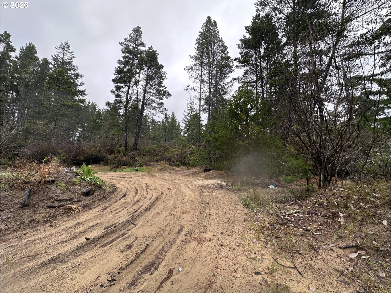 88029 Highway 101 Property Photo 6