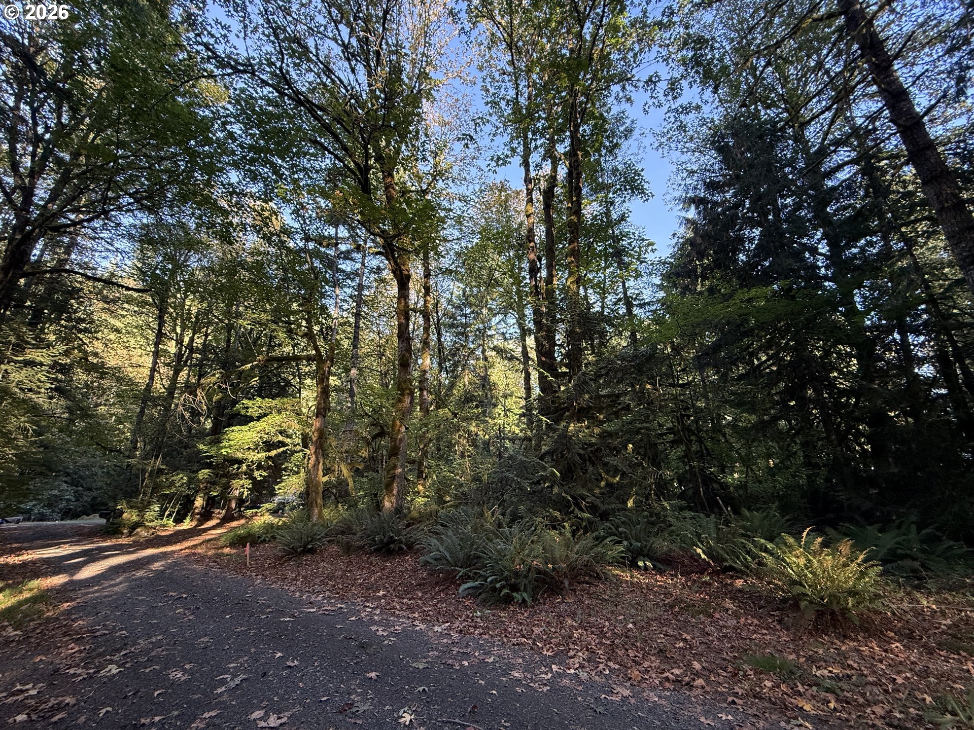 65365 E Barlow Trail Rd Property Photo 3