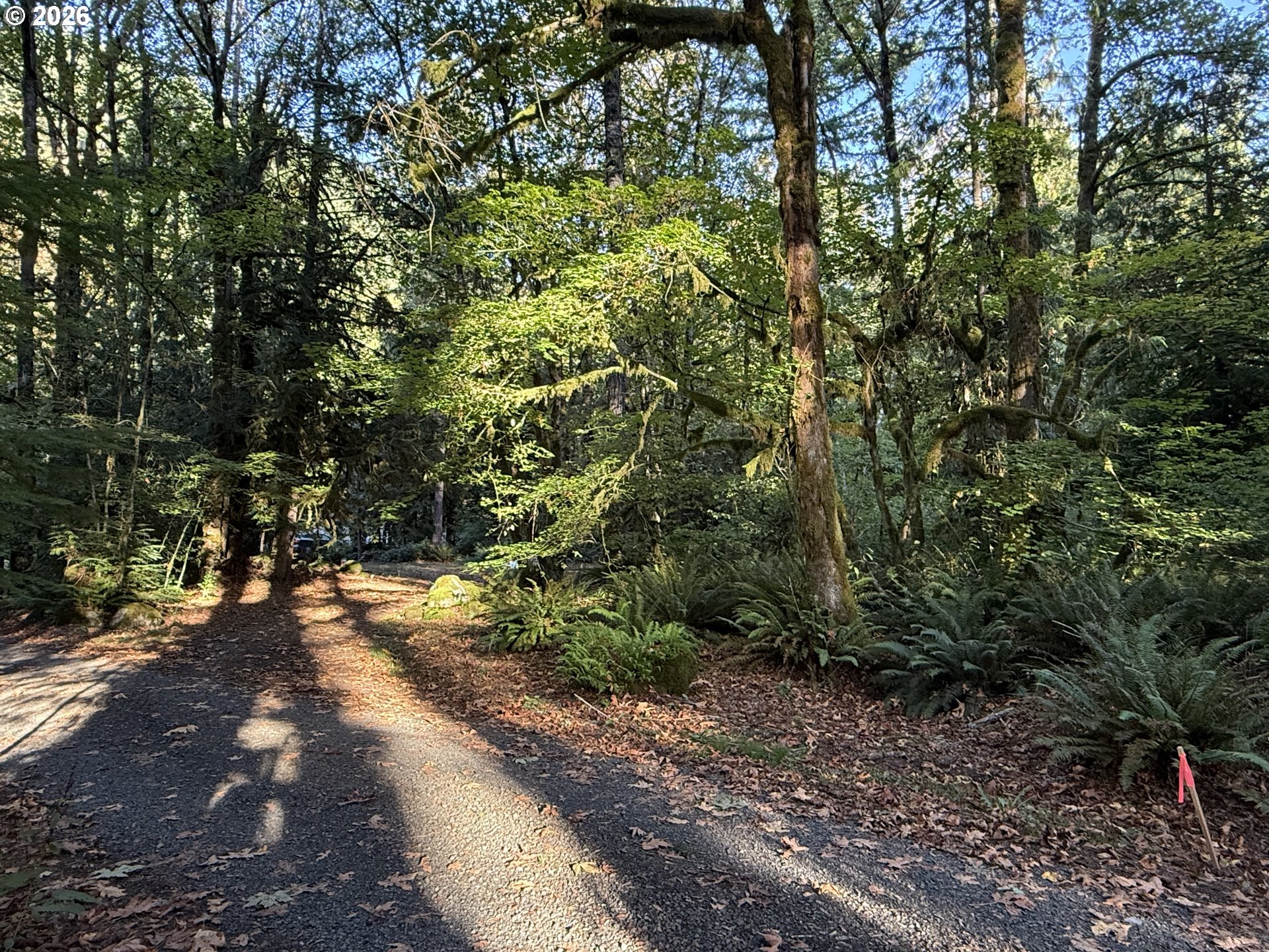65365 E Barlow Trail Rd Property Photo 4