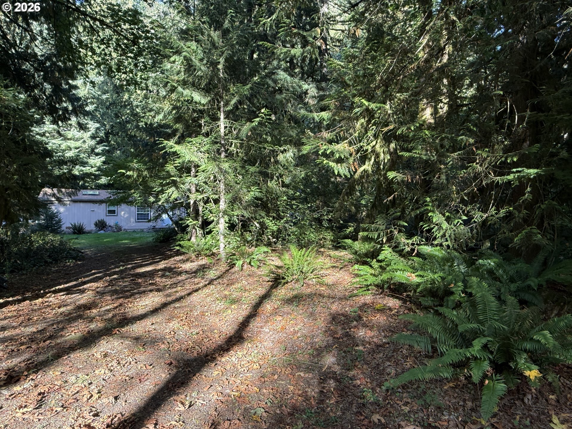 65365 E Barlow Trail Rd Property Photo 6