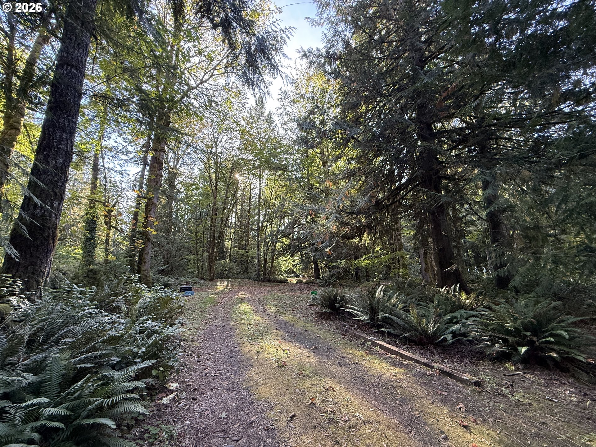 65365 E Barlow Trail Rd Property Photo 7