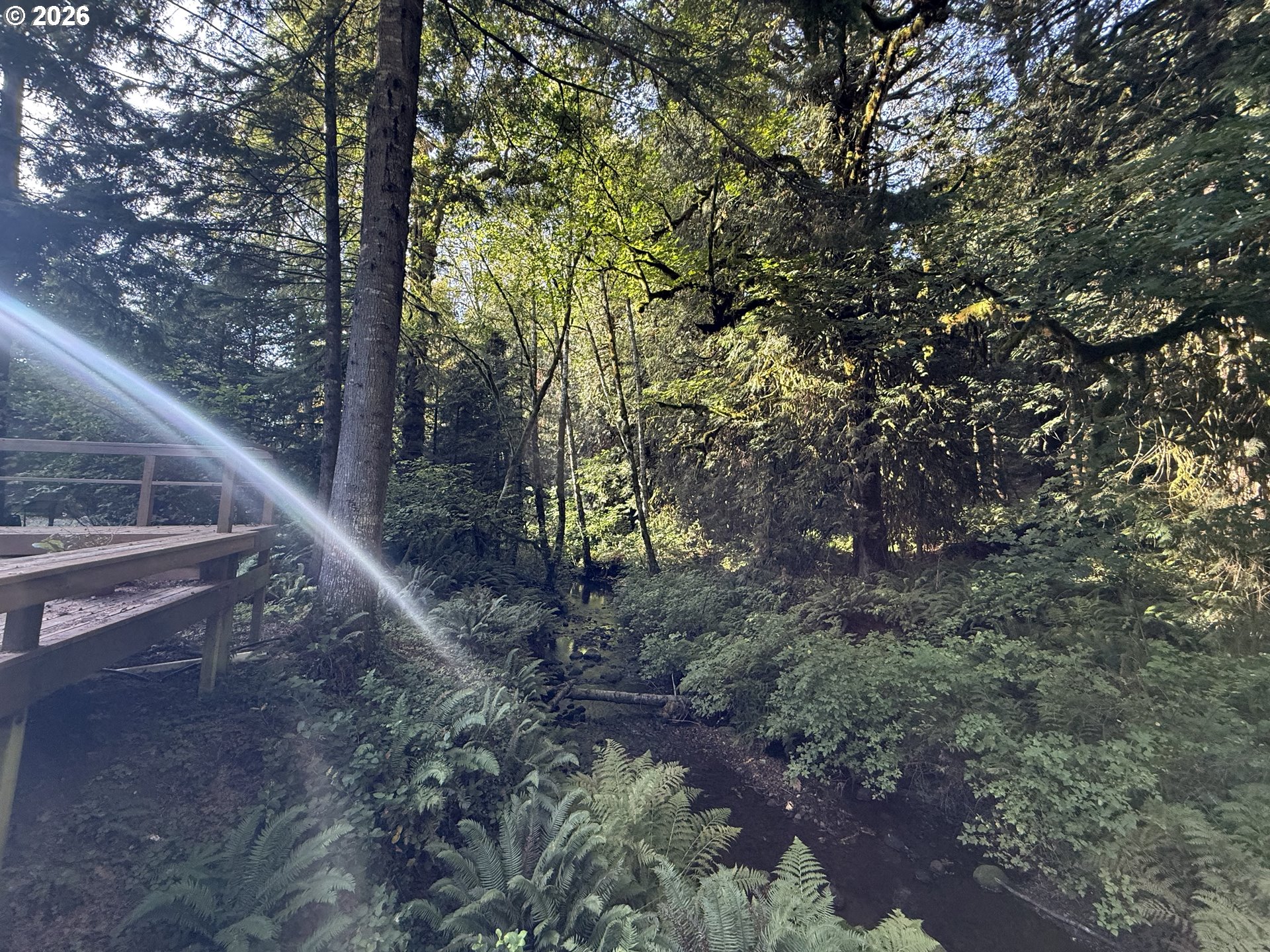 65365 E Barlow Trail Rd Property Photo 13