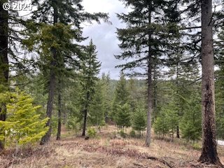 Kida Rd 4 Property Photo 1