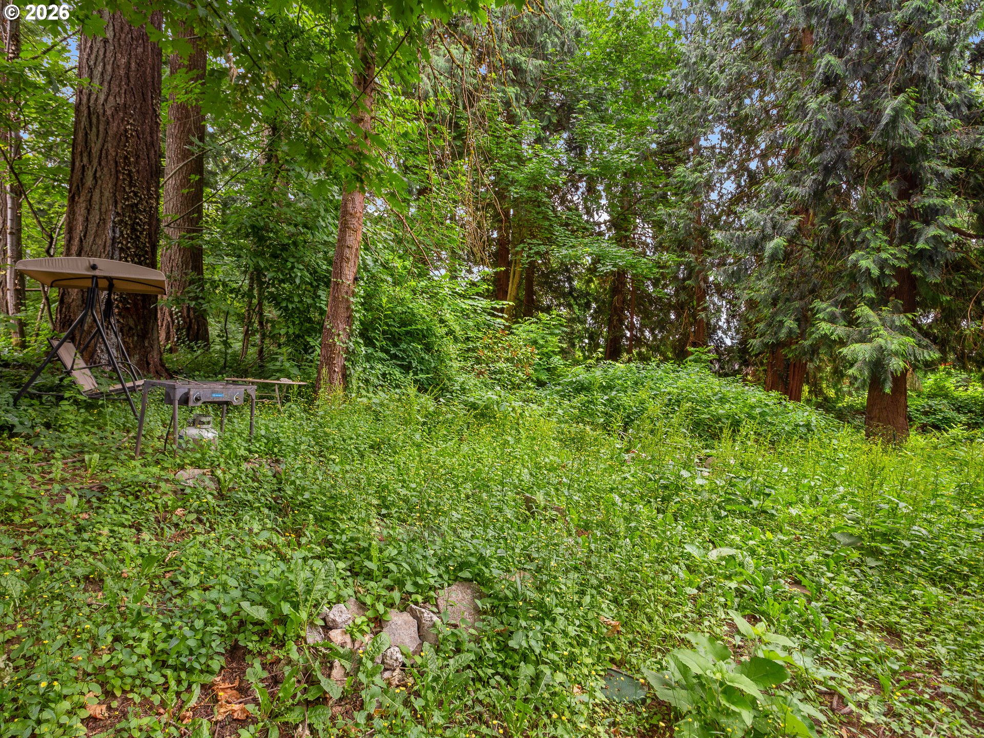 32510 E Bell Rd Property Photo 34