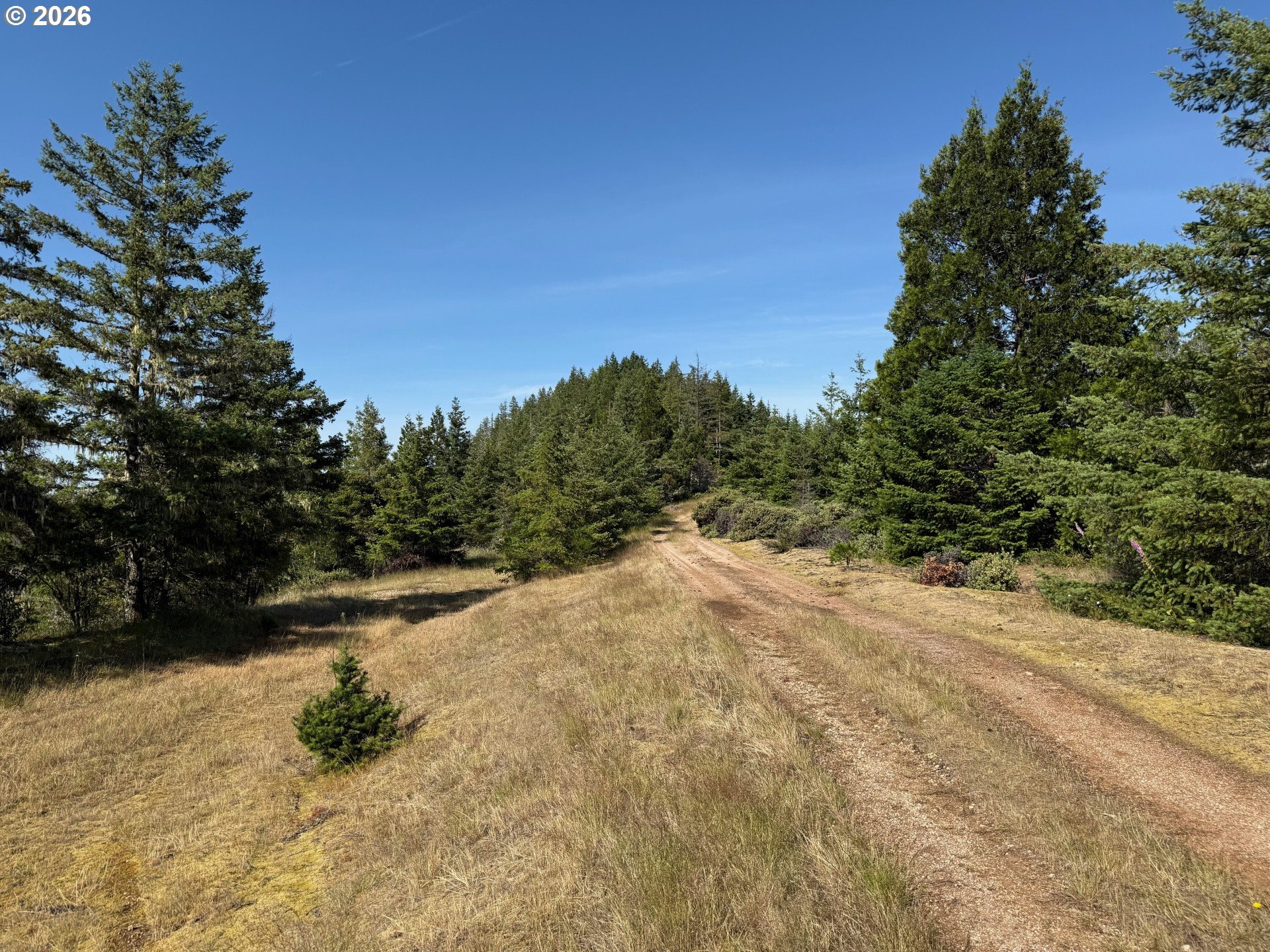 Fireclay Rd Property Photo 18