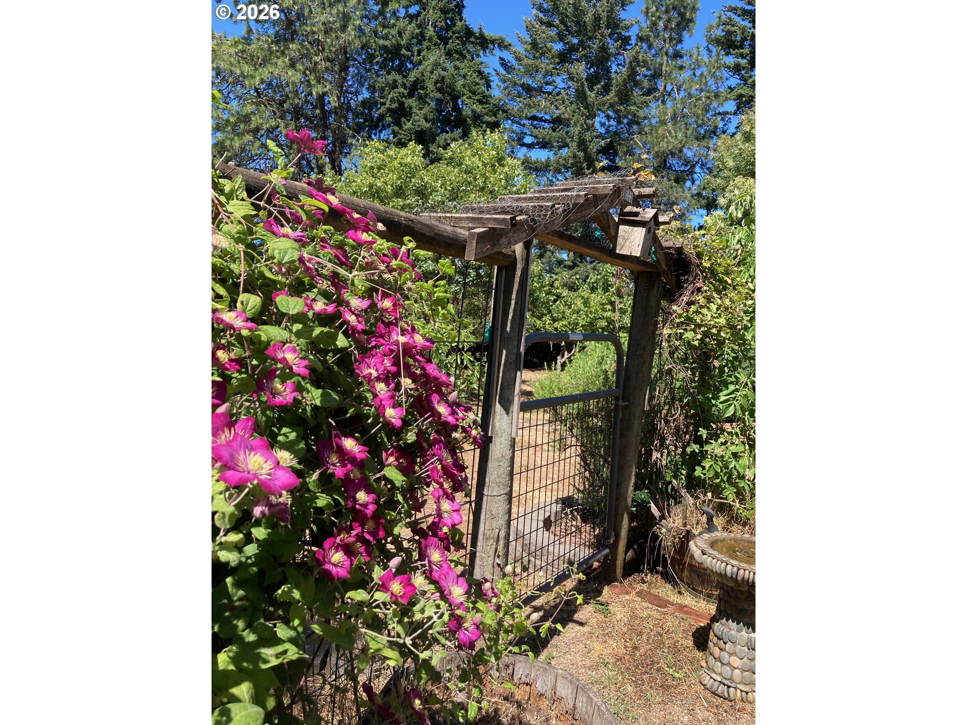 17220 Pleasant Hill Rd Property Photo 22