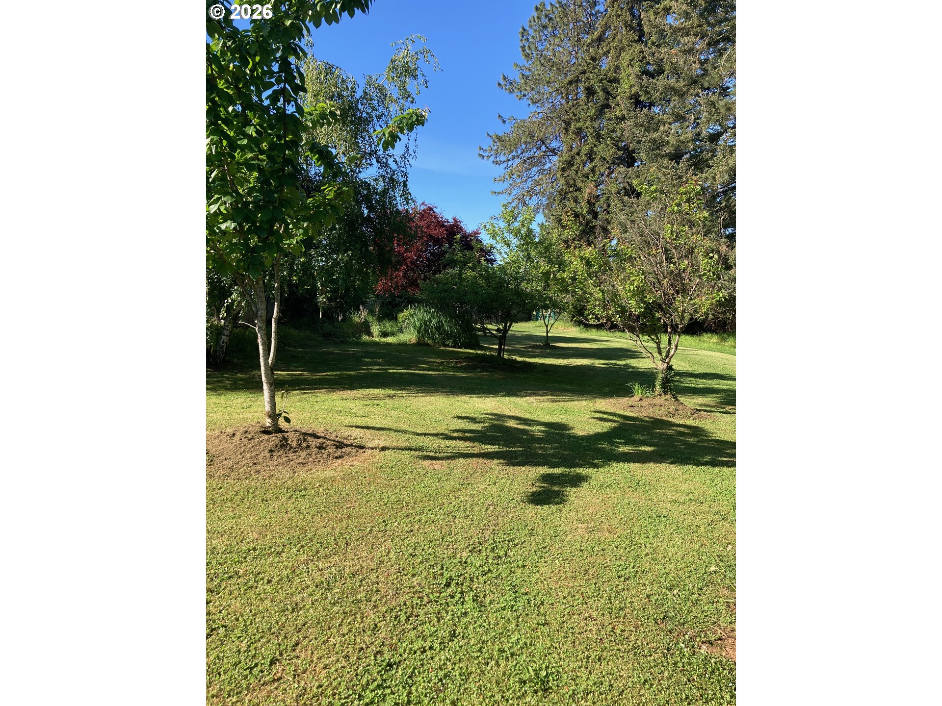 17220 Pleasant Hill Rd Property Photo 38