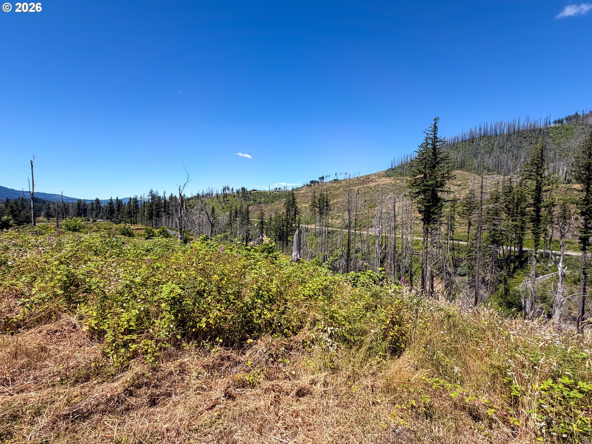 51789 Gates E Property Photo 2