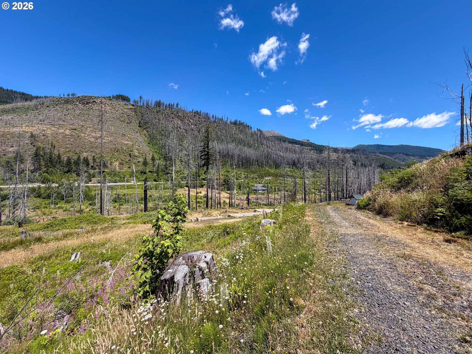 51789 Gates E Property Photo 4