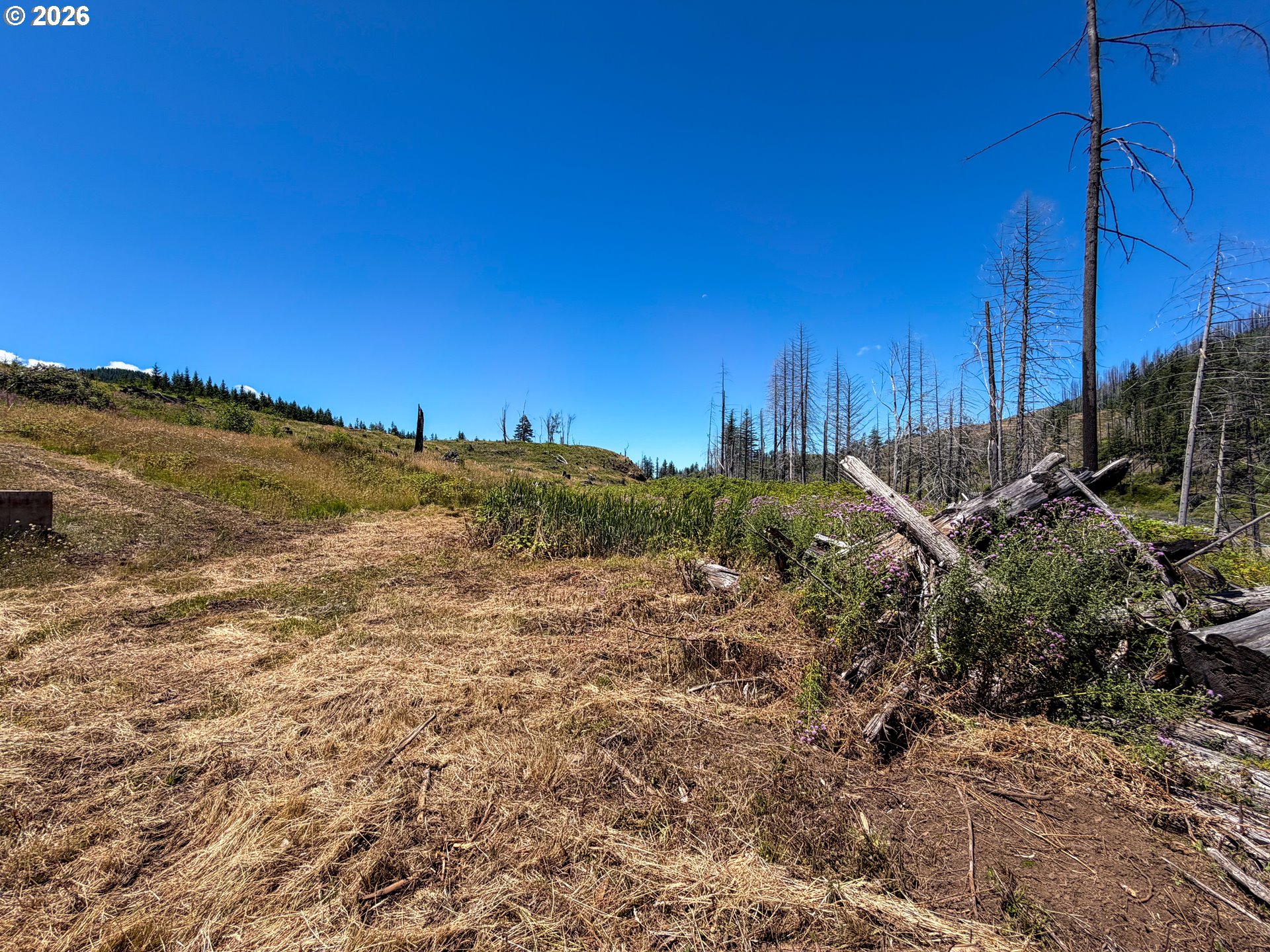 51789 Gates E Property Photo 11