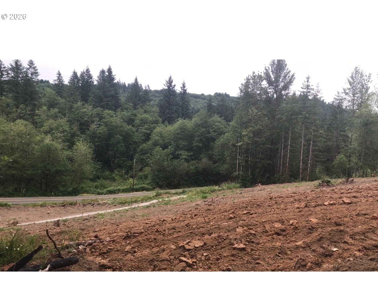 0 Ne Jenny Creek Rd Property Photo 3