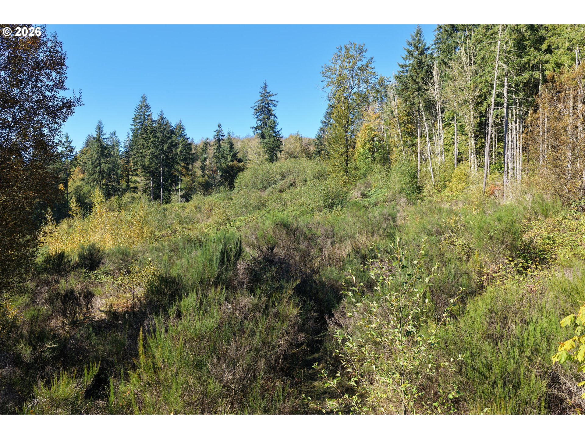 0 Ne Jenny Creek Rd Property Photo 9