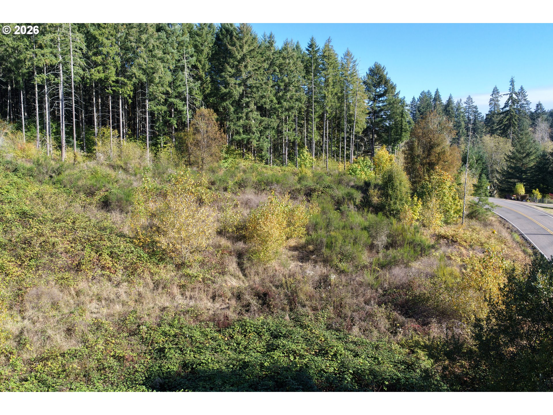 0 Ne Jenny Creek Rd Property Photo 10