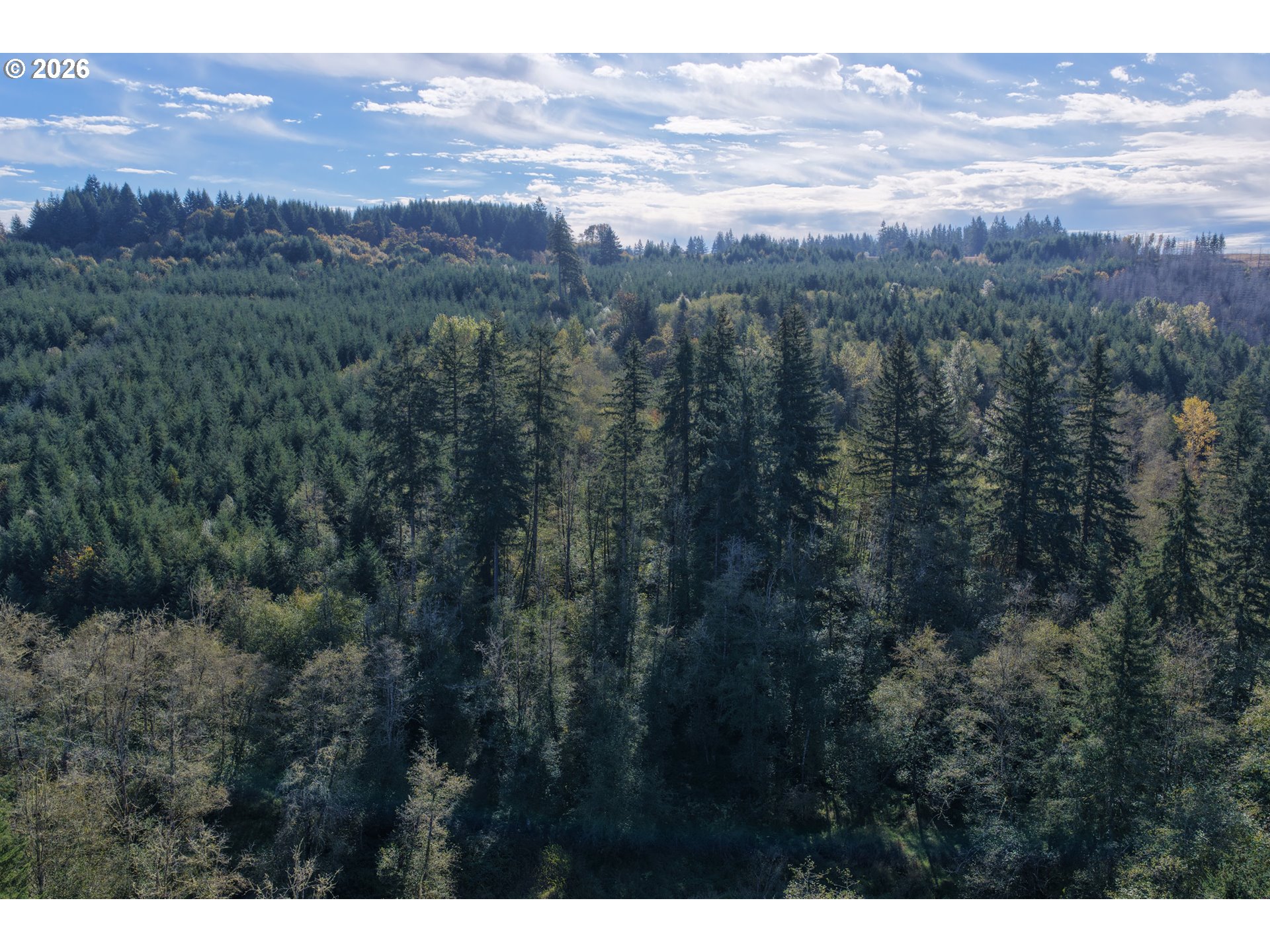 0 Ne Jenny Creek Rd Property Photo 11
