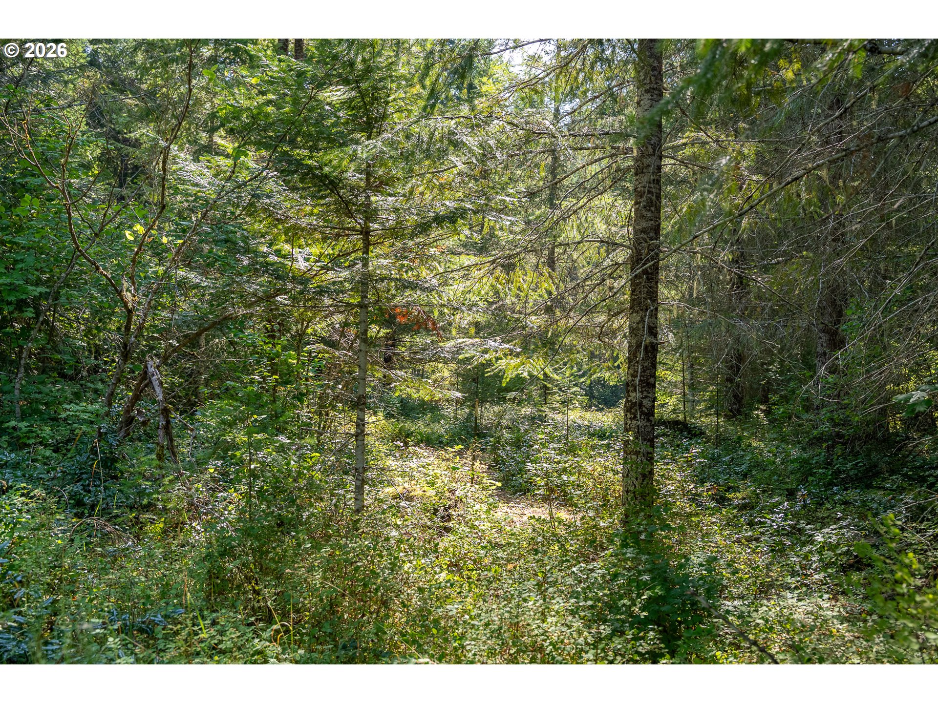 182 Hawk Meadows Rd Property Photo 8