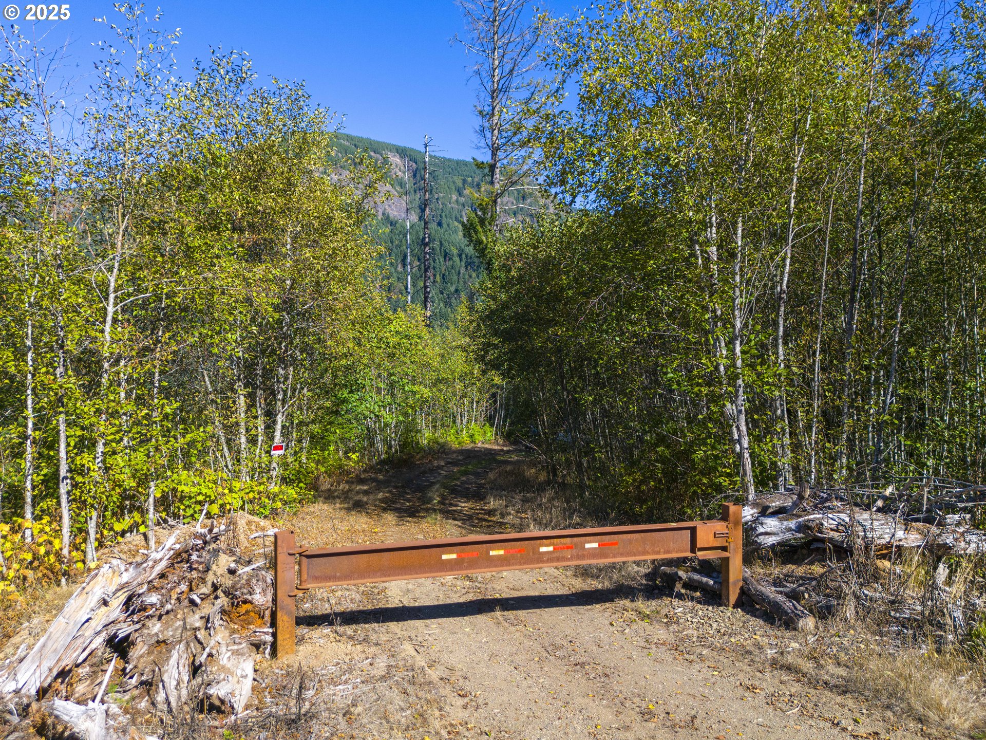 0 Tin Shack Rd Property Photo 1