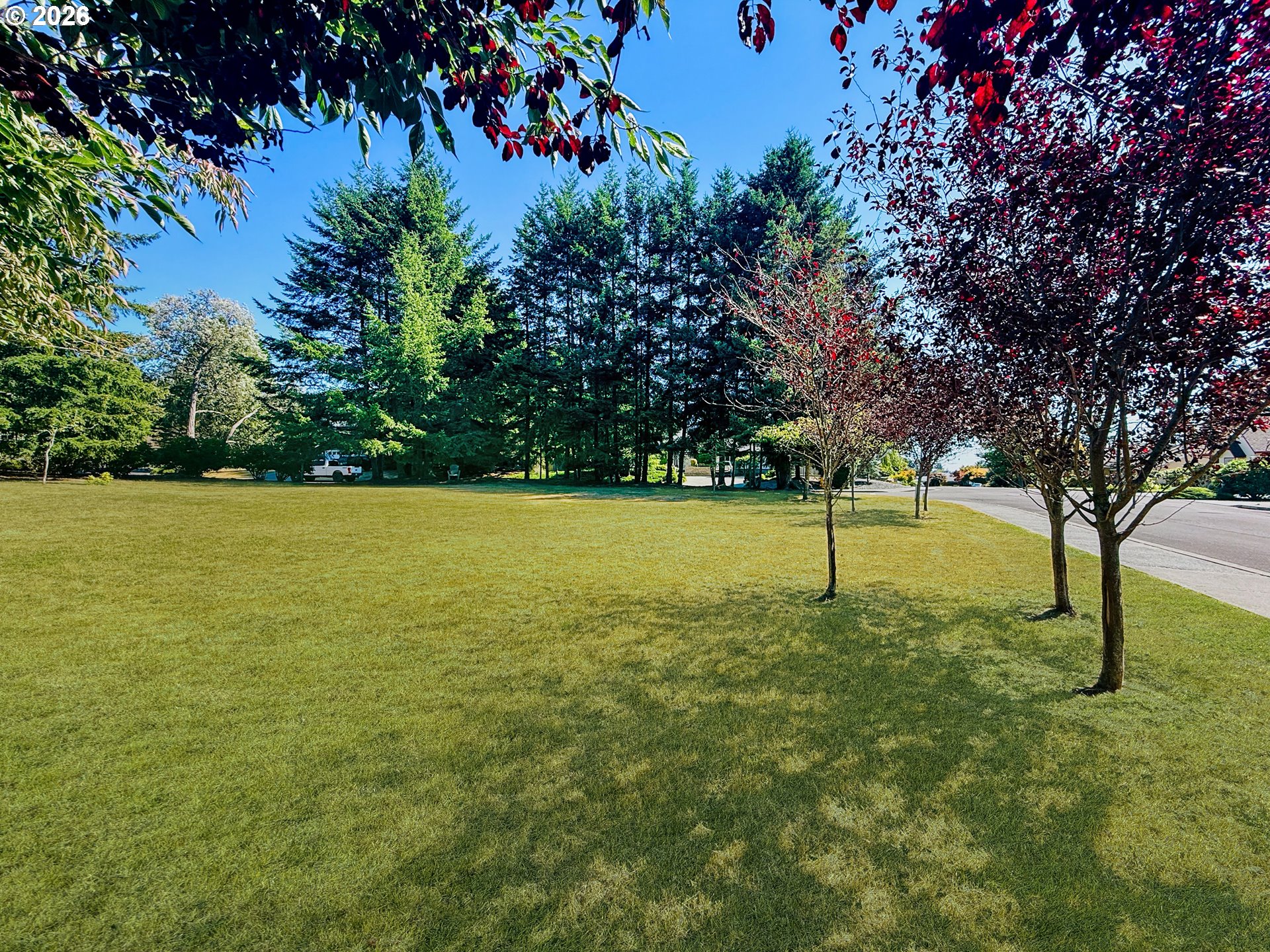 932 Midland Way Property Photo 3