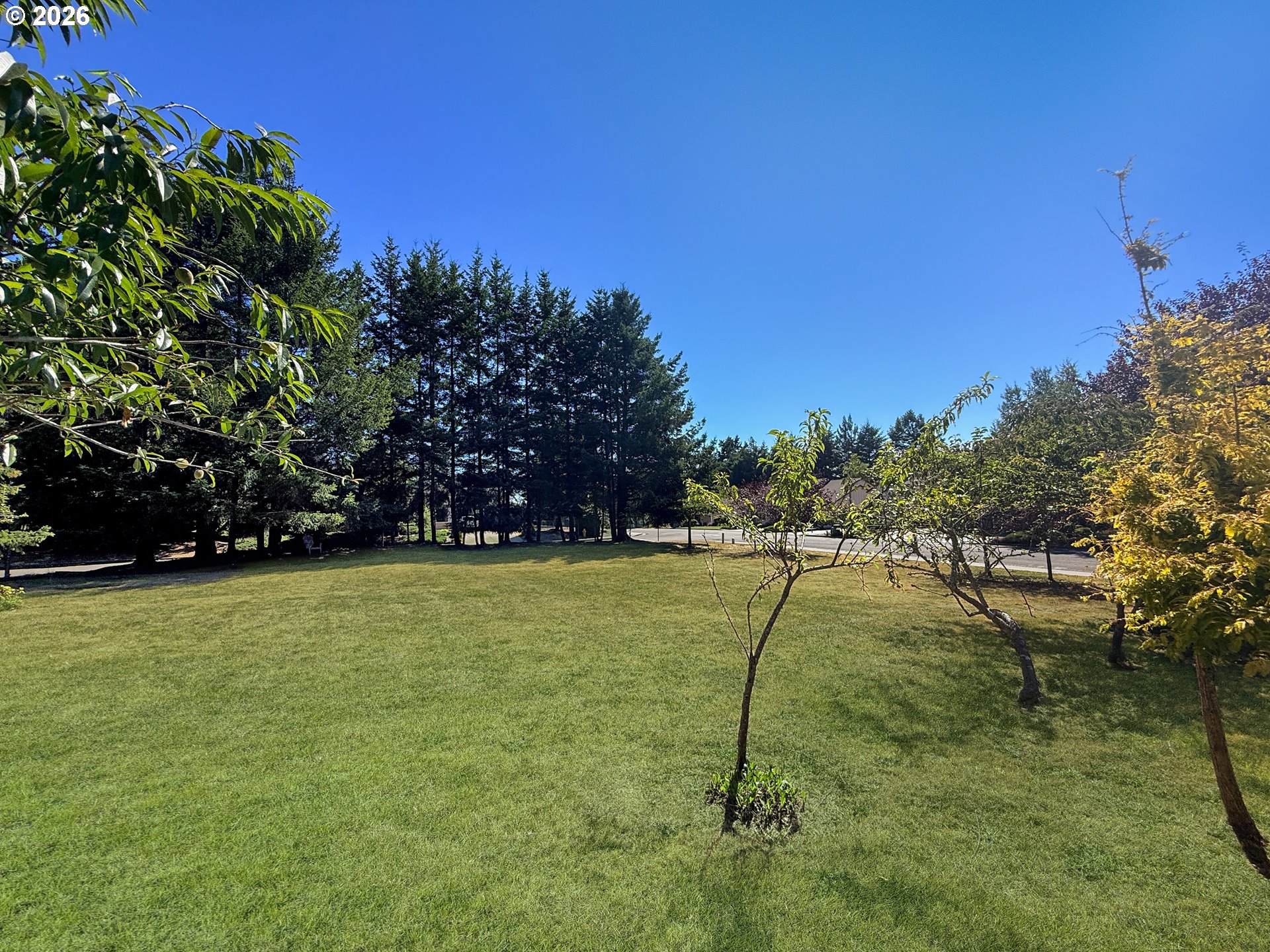 932 Midland Way Property Photo 6